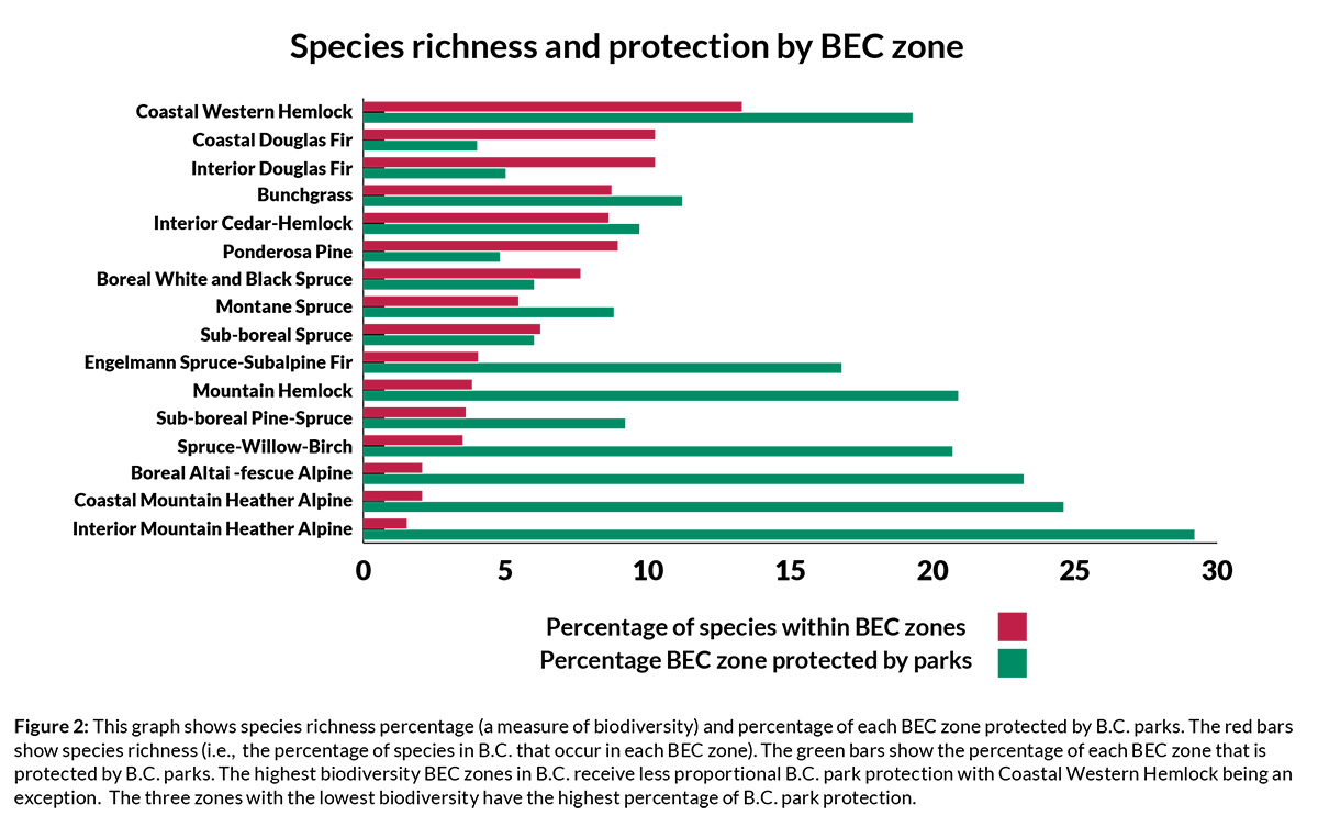 Species richness and protection by BEC zone