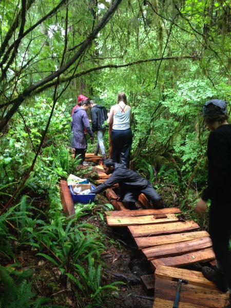 Replacing boardwalk on Big Tree Trail