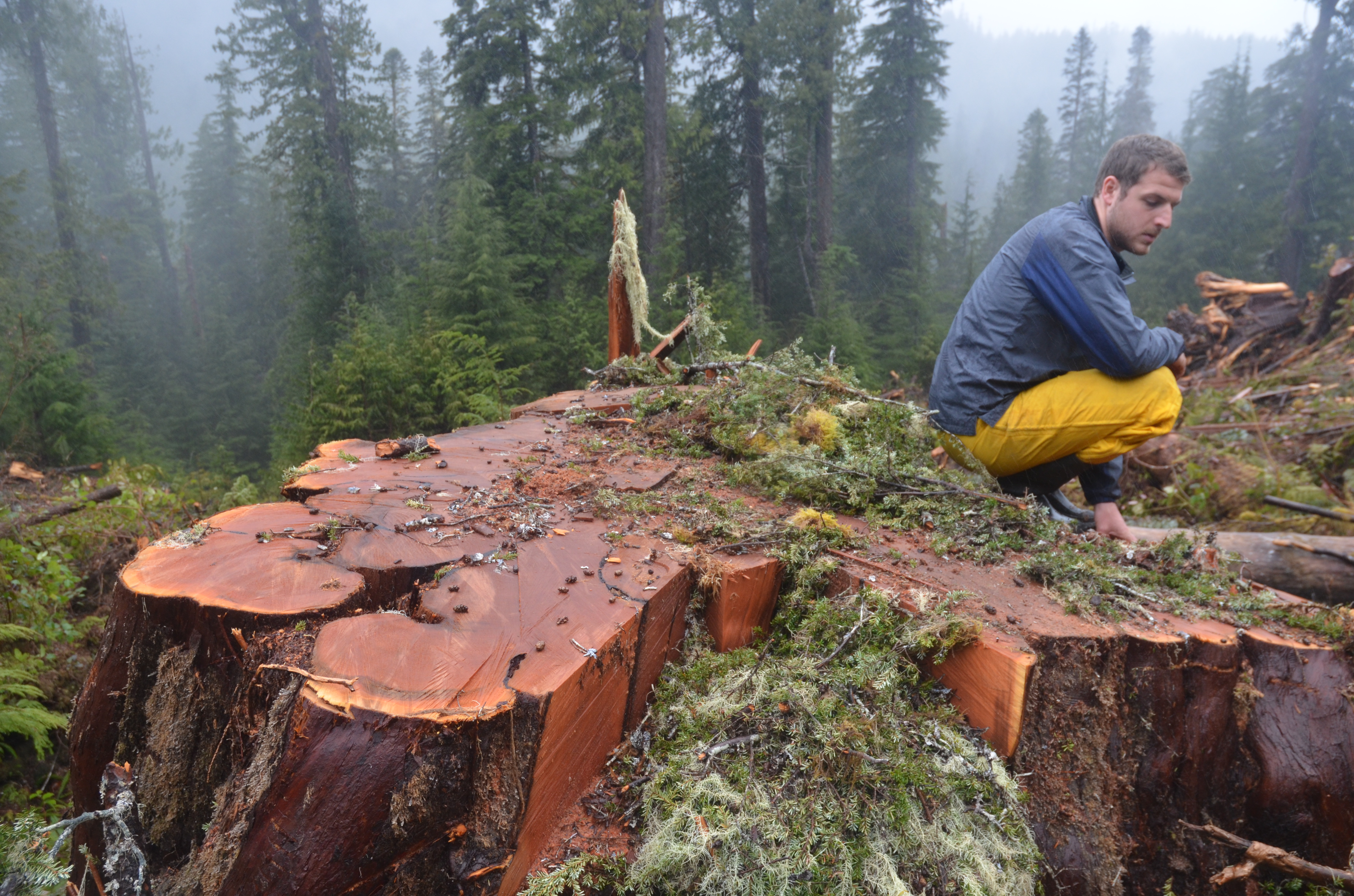 Log binning