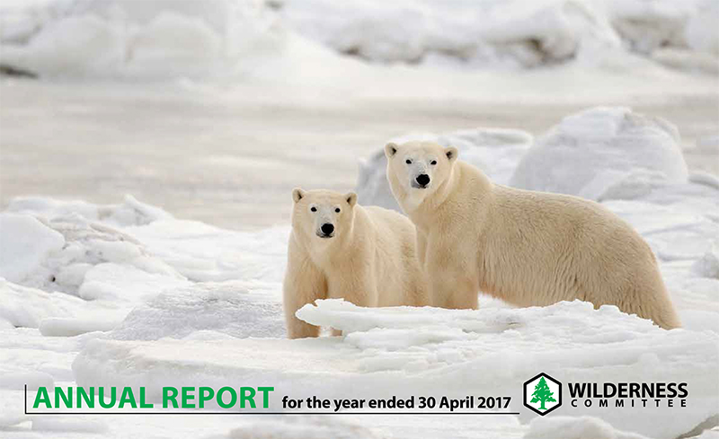 Annual Report Cover