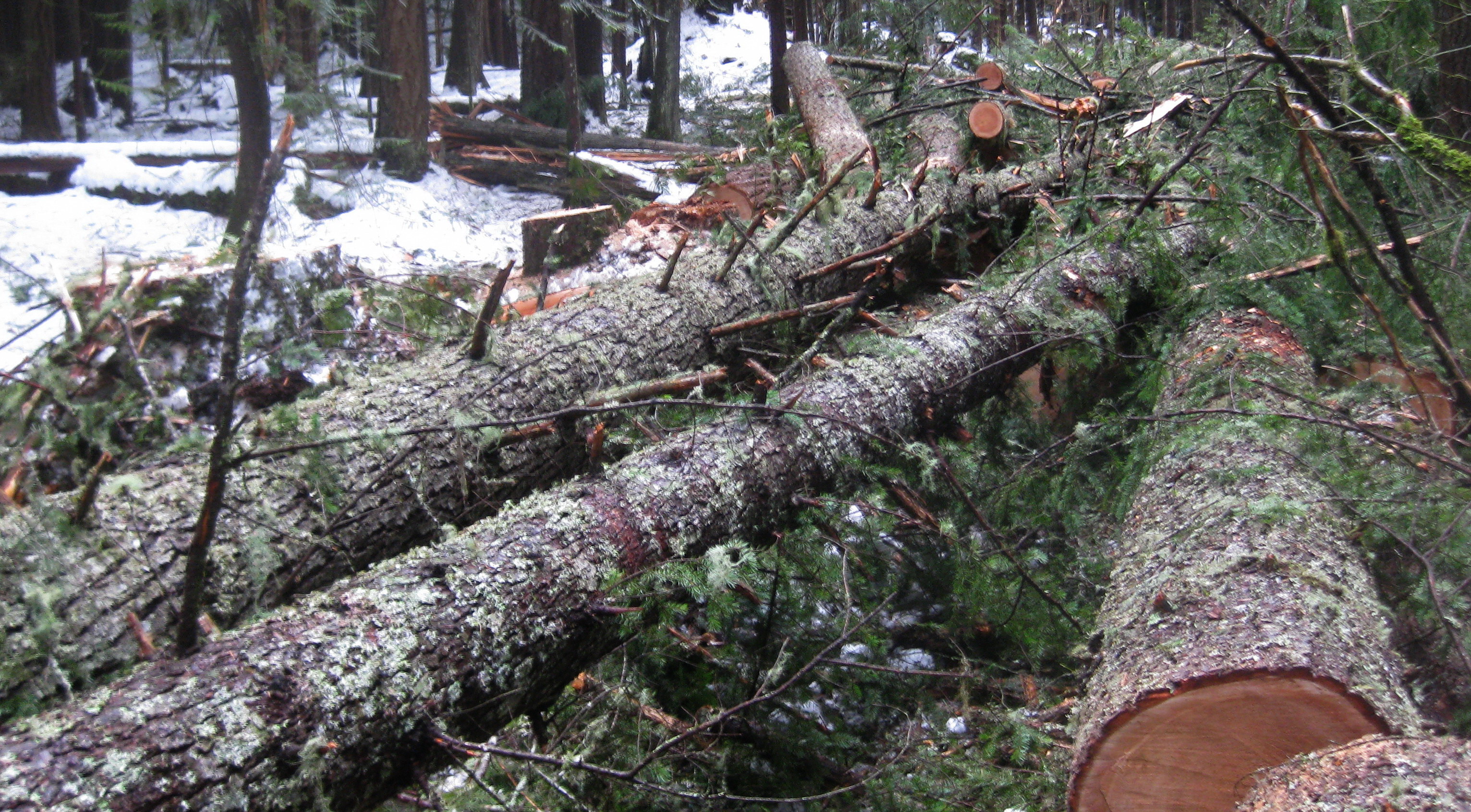 Photo: Wilderness Committee