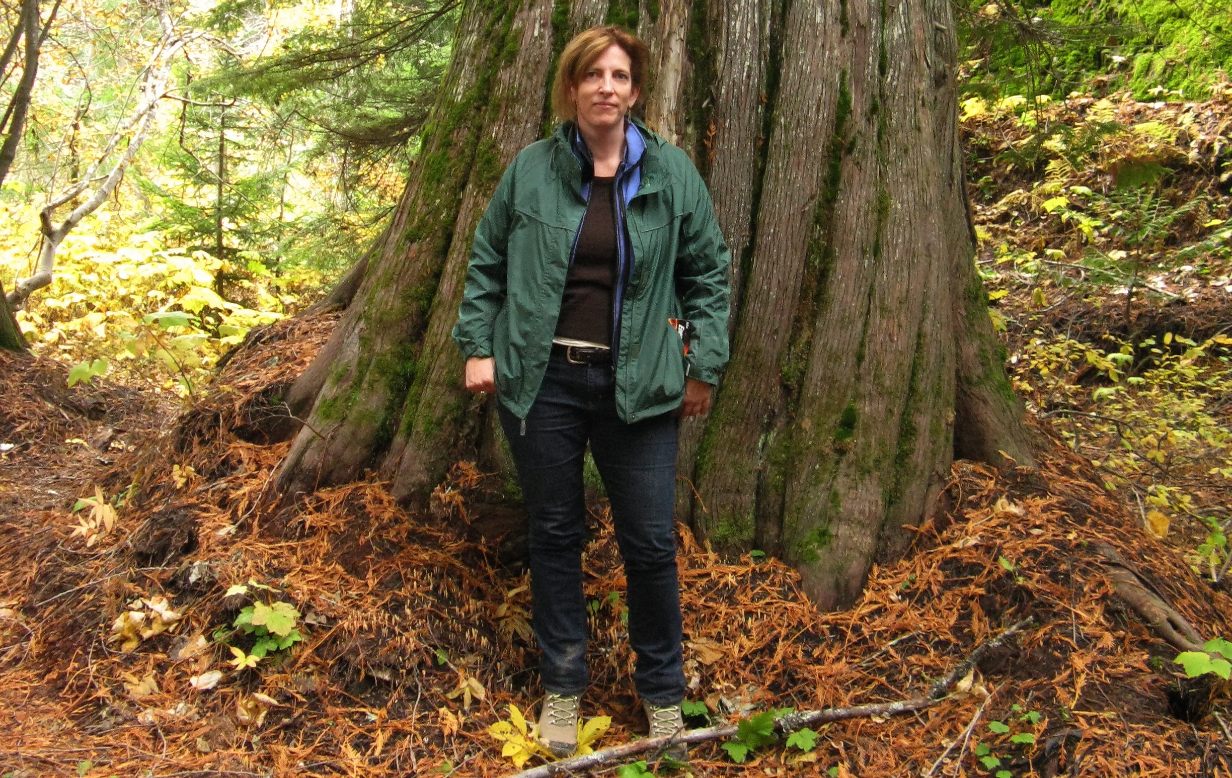 Photo: Wilderness Committee