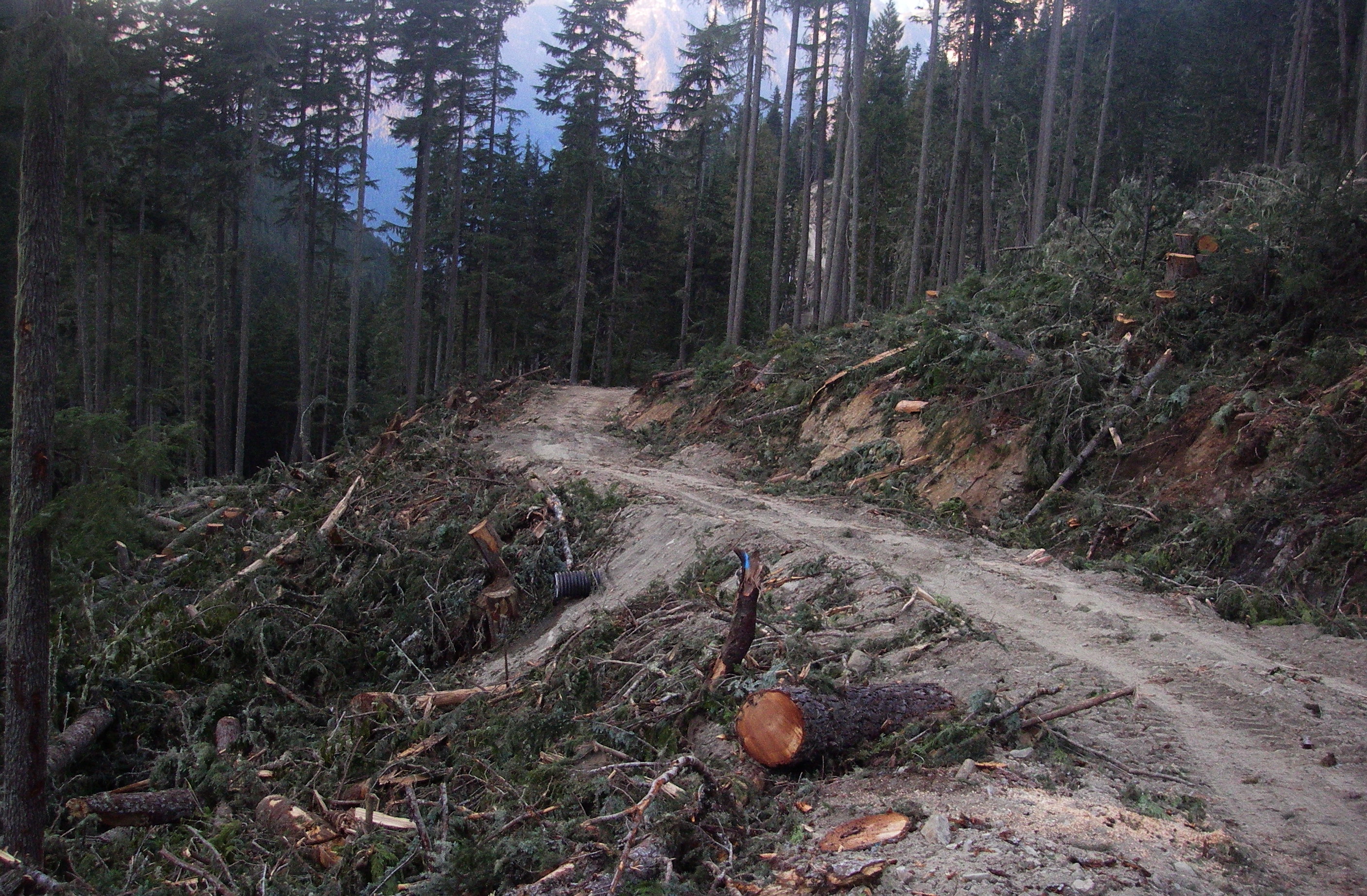 Photo: Wilderness Committee