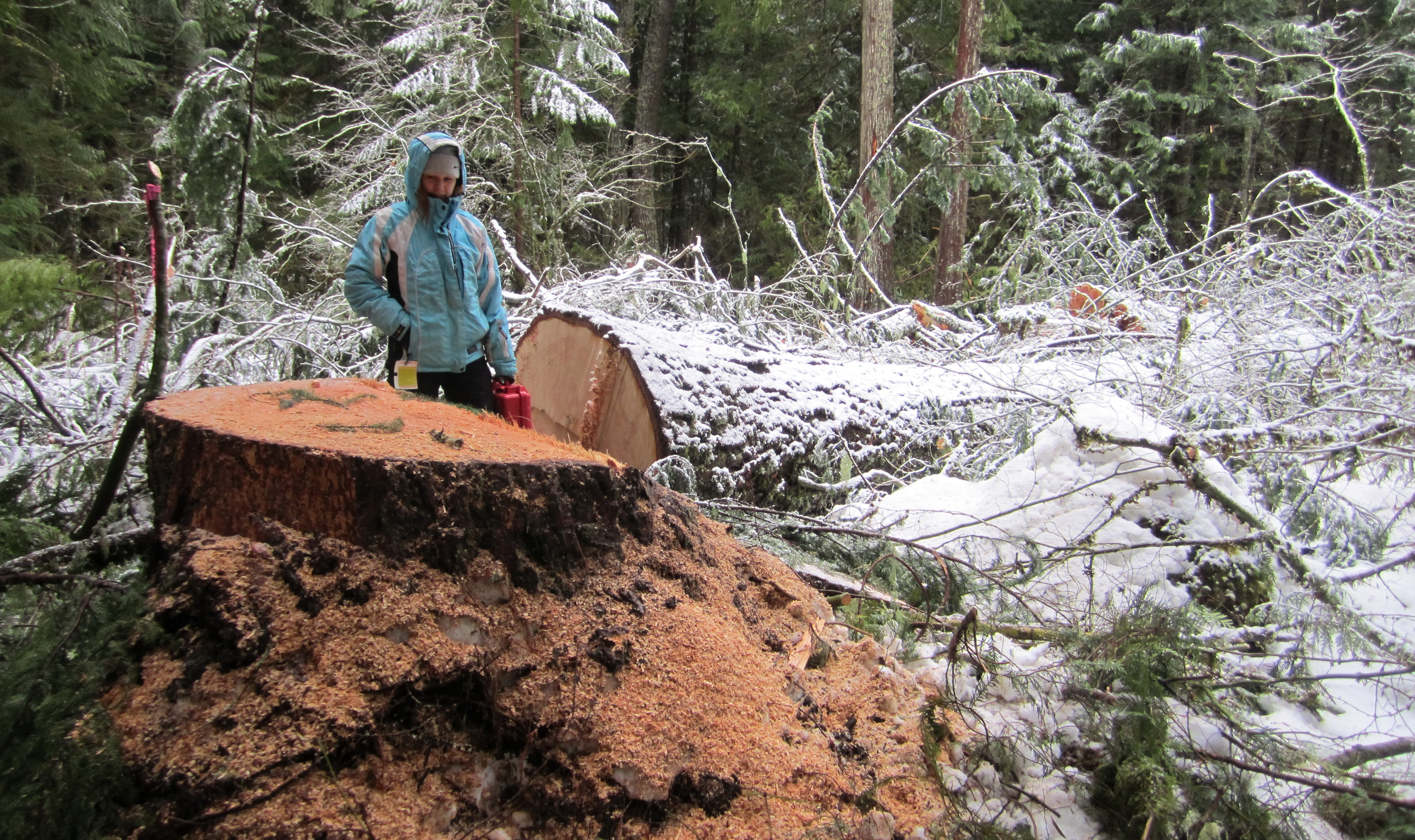 Photo: Wilderness Committee
