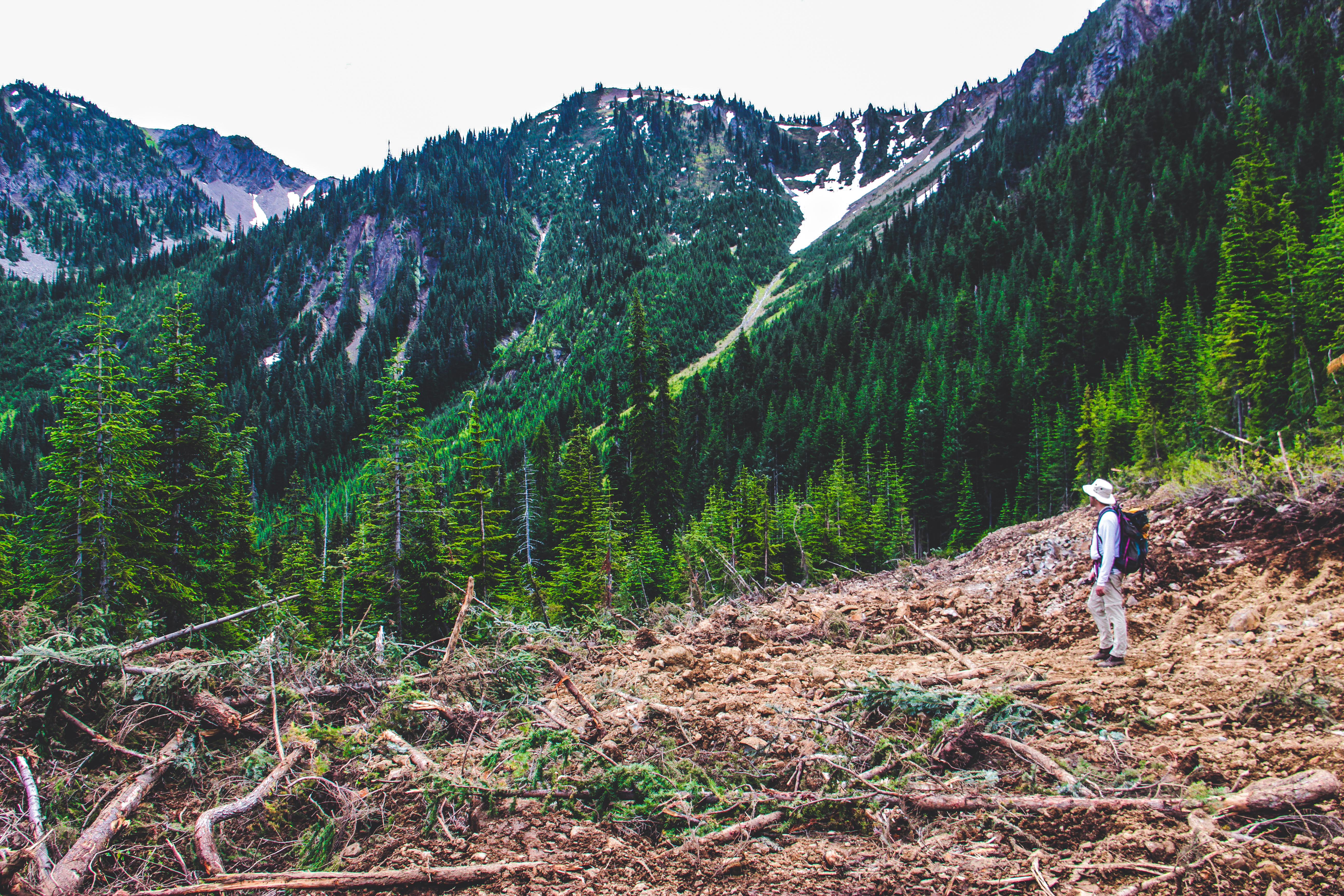 Logging road in the middle of Manning and Skagit Provincial Parks