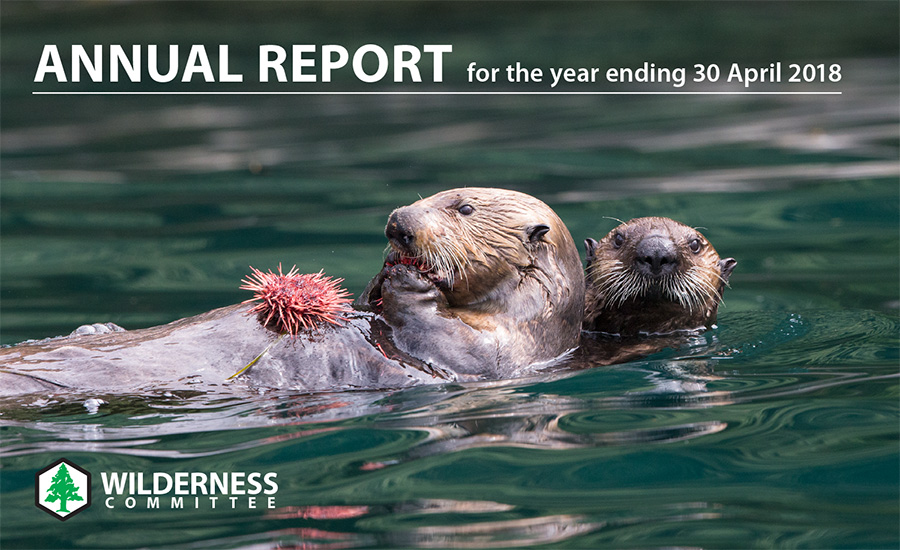 Annual Report Cover
