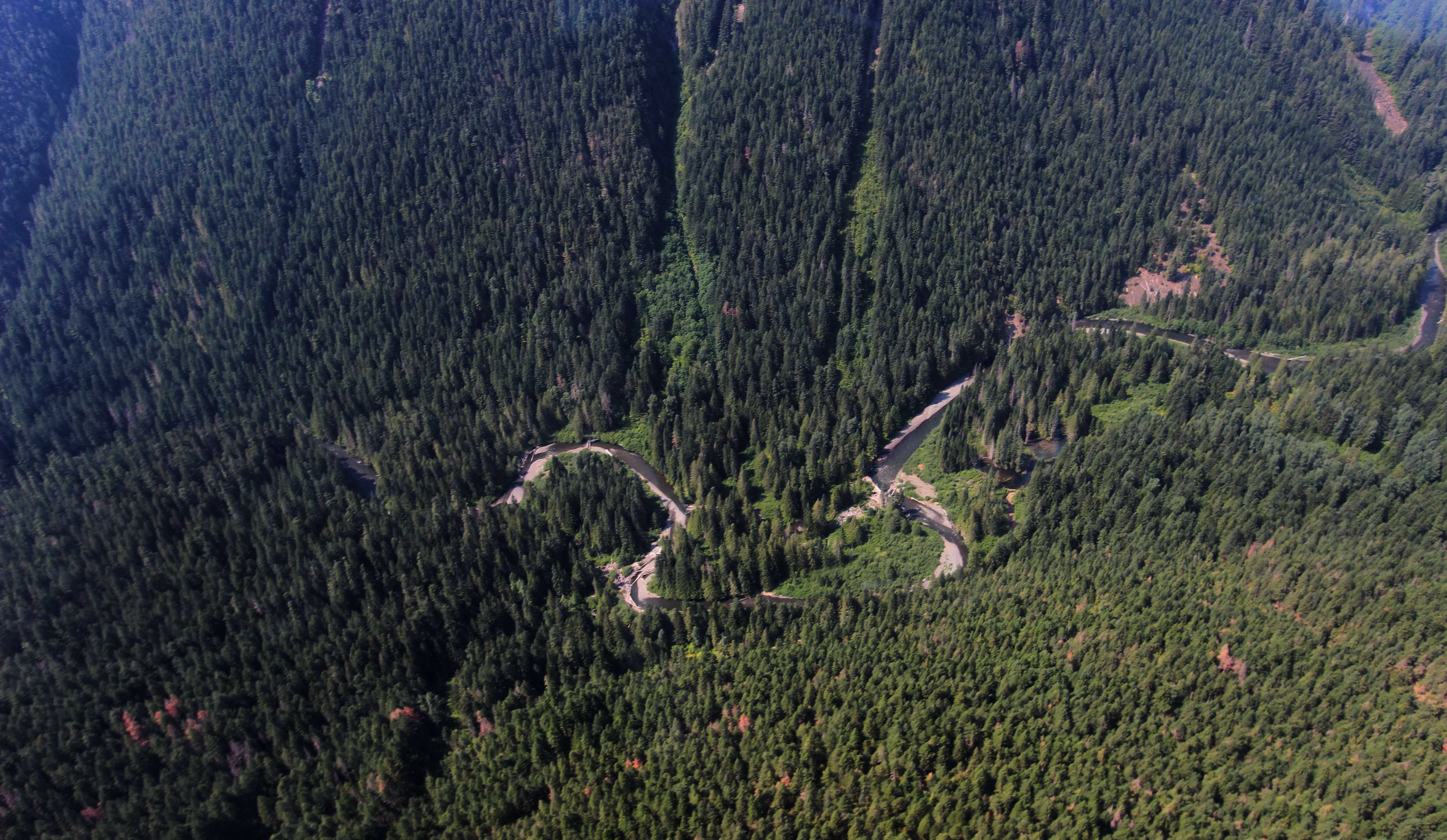 Skagit River