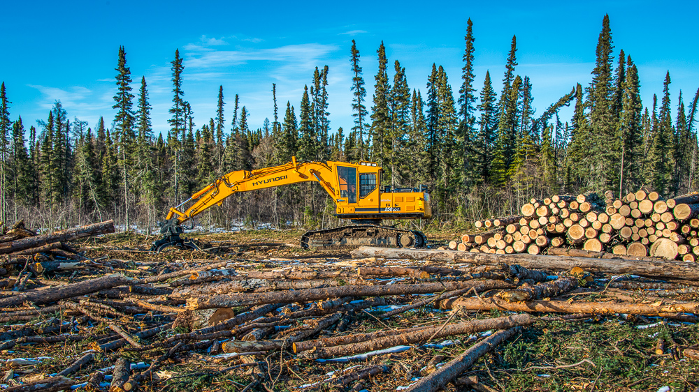 Logging machines in Duck Mountain Provincial Park