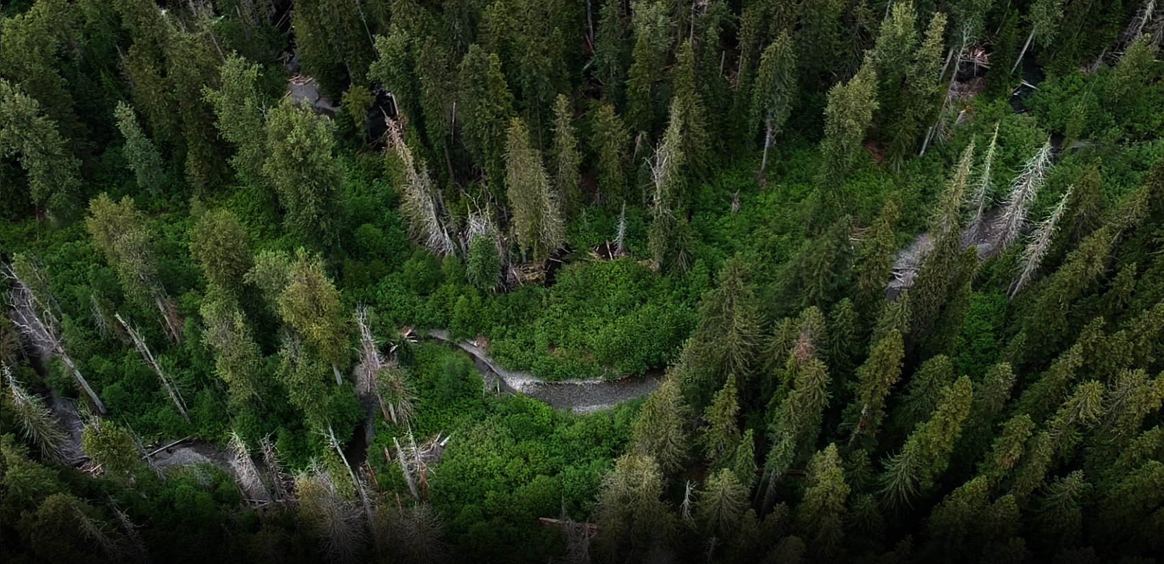 Skagit headwaters in Manning Provincial Park, BC