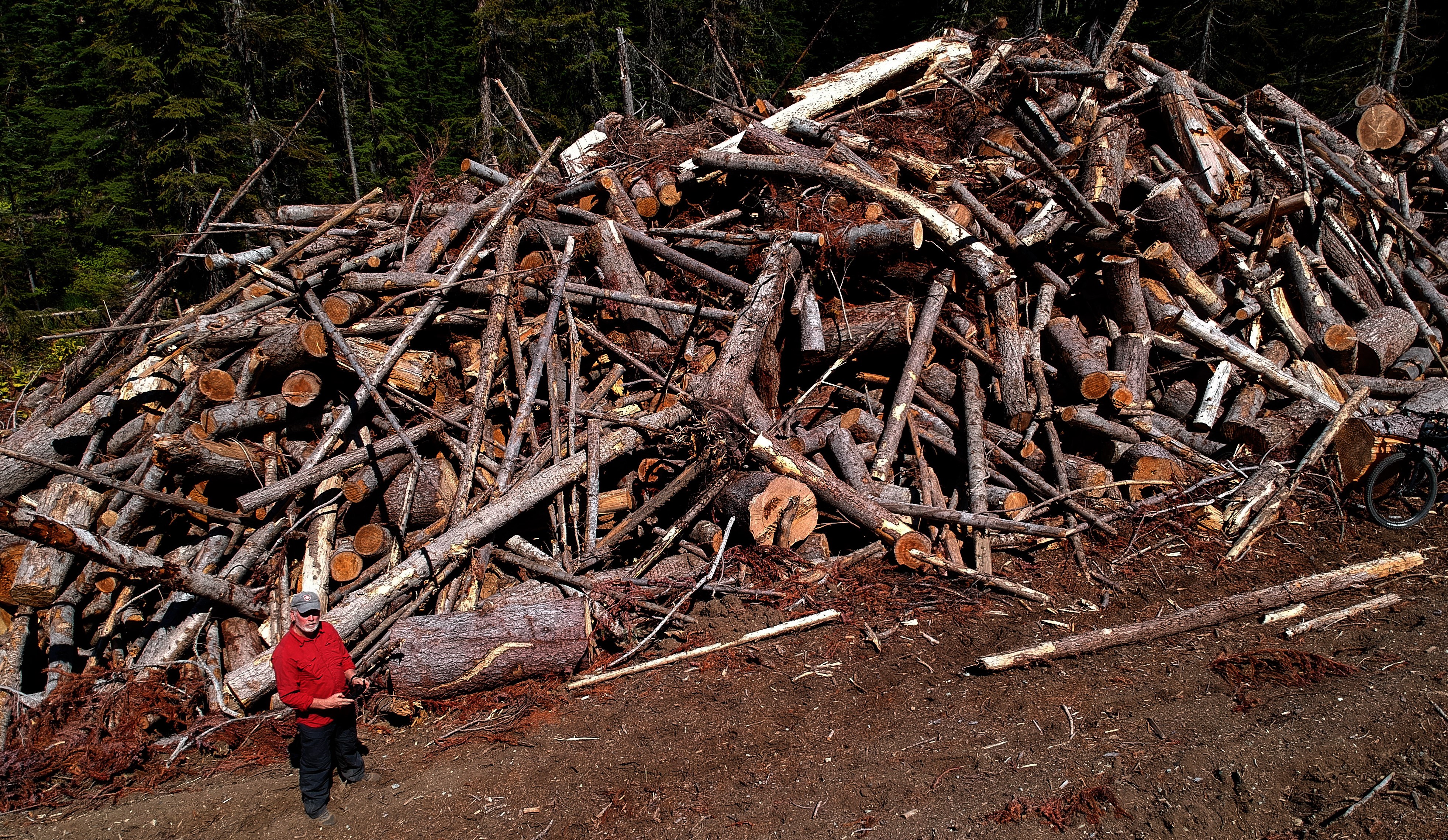 Logging waste pile in the Donut Hole - one of many