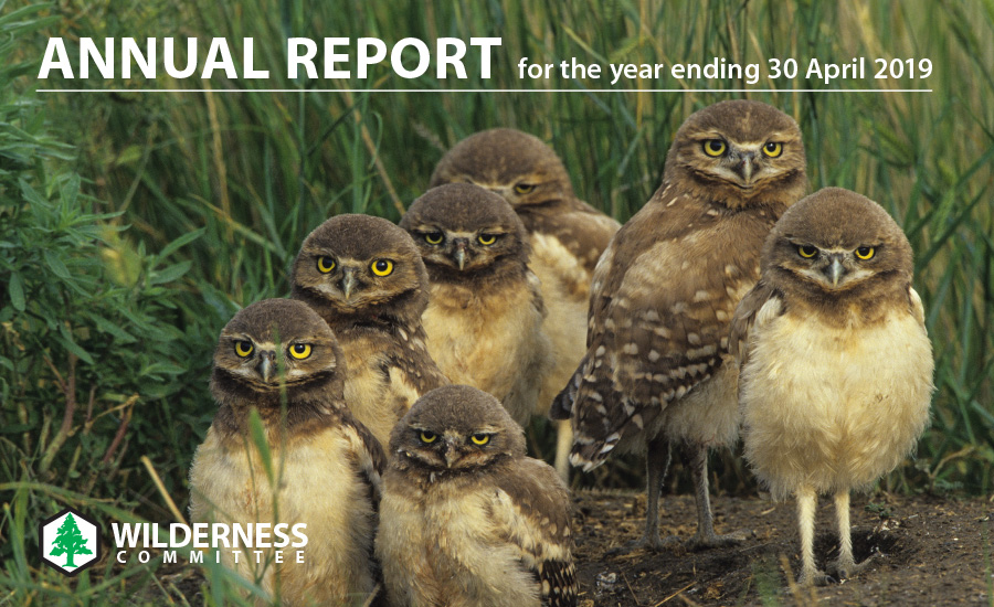 2019 Annual Report Cover
