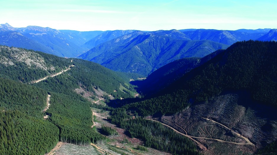 Plans for renewed logging and mining near E.C. Manning and Skagit Valley provincial parks are raising fears of environmental damage on both sides of the Canada-U.S. border