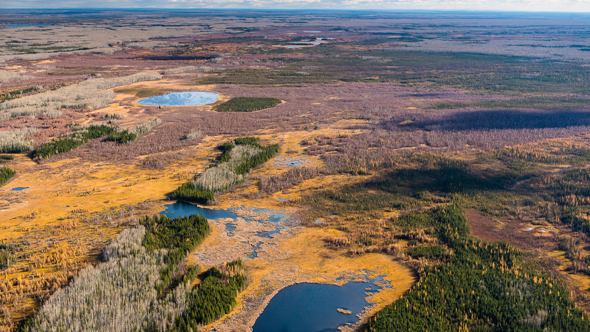 Proposed Teck Frontier mine site and area to be impacted (Photo: Garth Lenz).