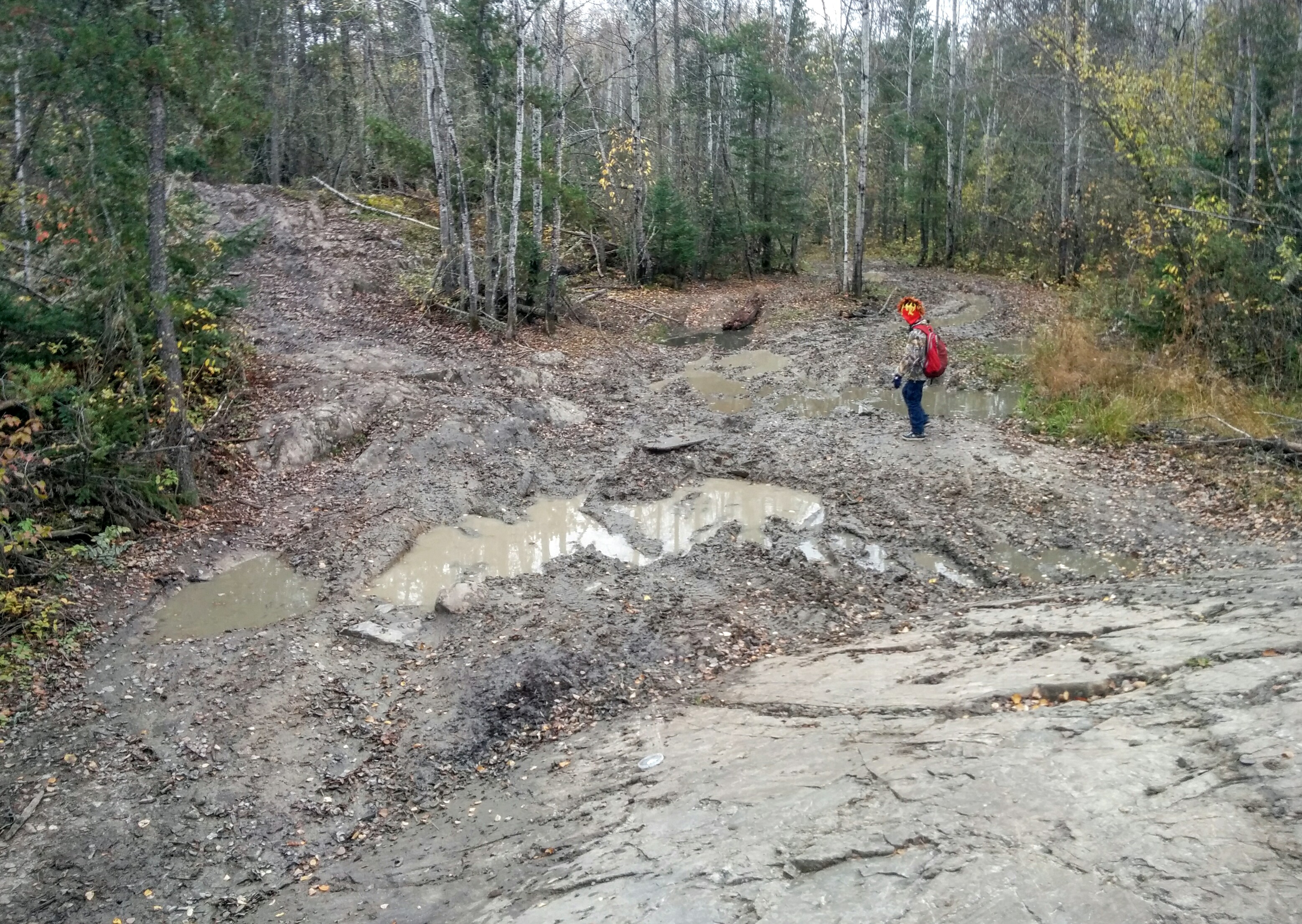 Wrecked trails in Nopiming Provincial Park