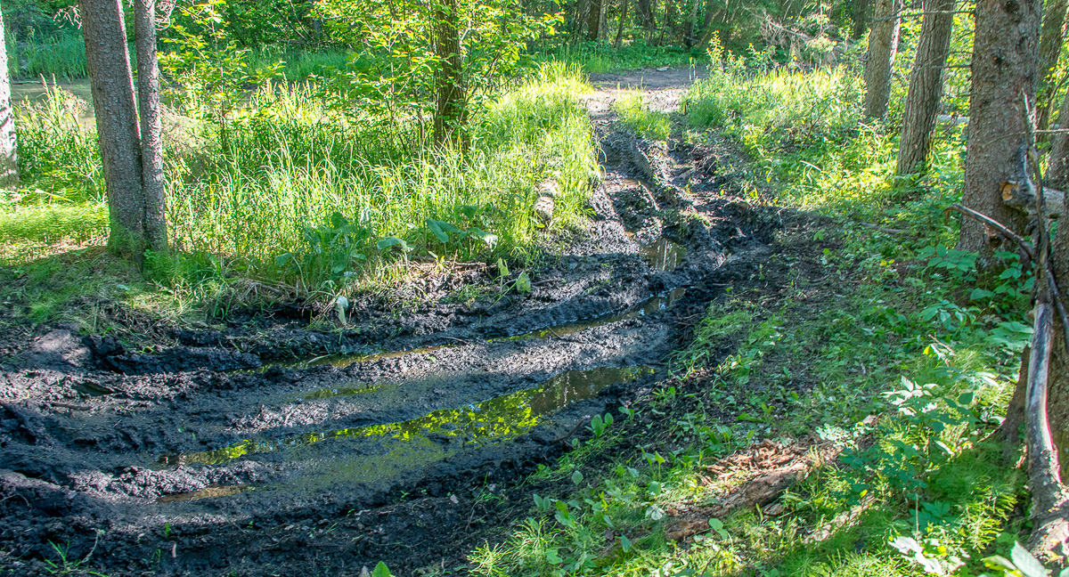 Tired destroyed by ATV tire tracks in Nopiming Provincial Park, 2016