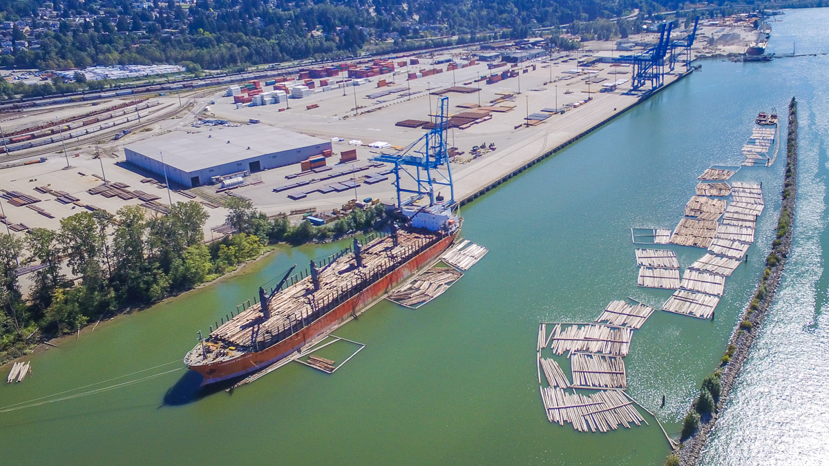 Raw logs ship at Surrey Docks.