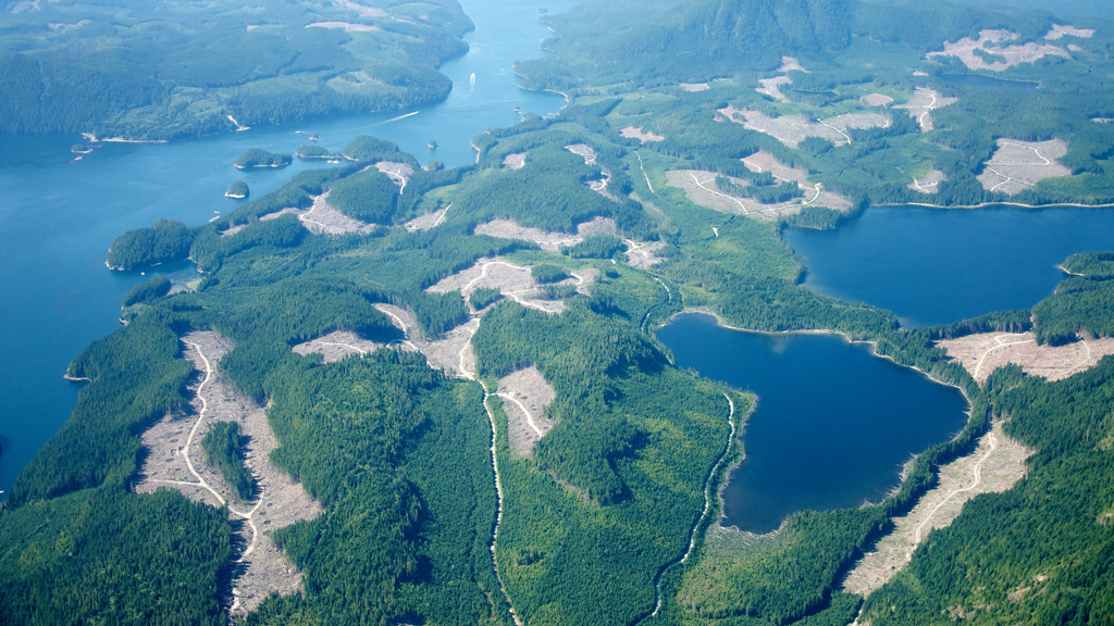 Aerial view of British Columbia forestry clear cuts. Photo by Sam Beebe / CC BY 2.0, cropped from original