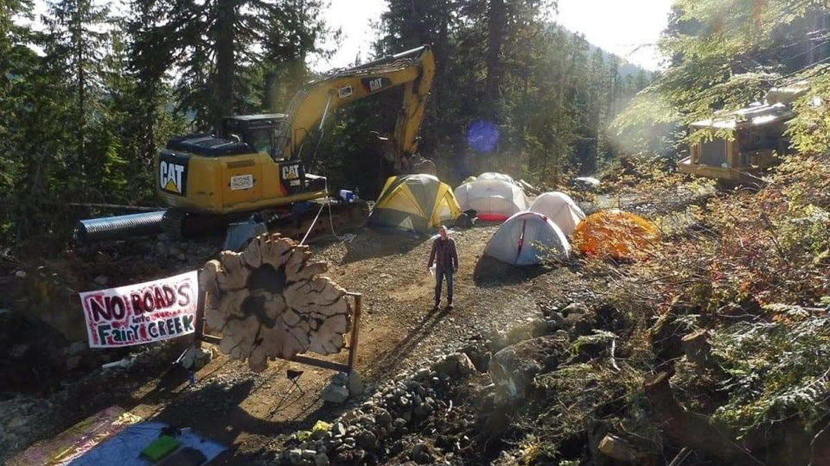 Stopping road building and logging in old-growth forest at Fairy Creek Ridge Blockade Camp, August 2020. Photo: Rainforest Flying Squad