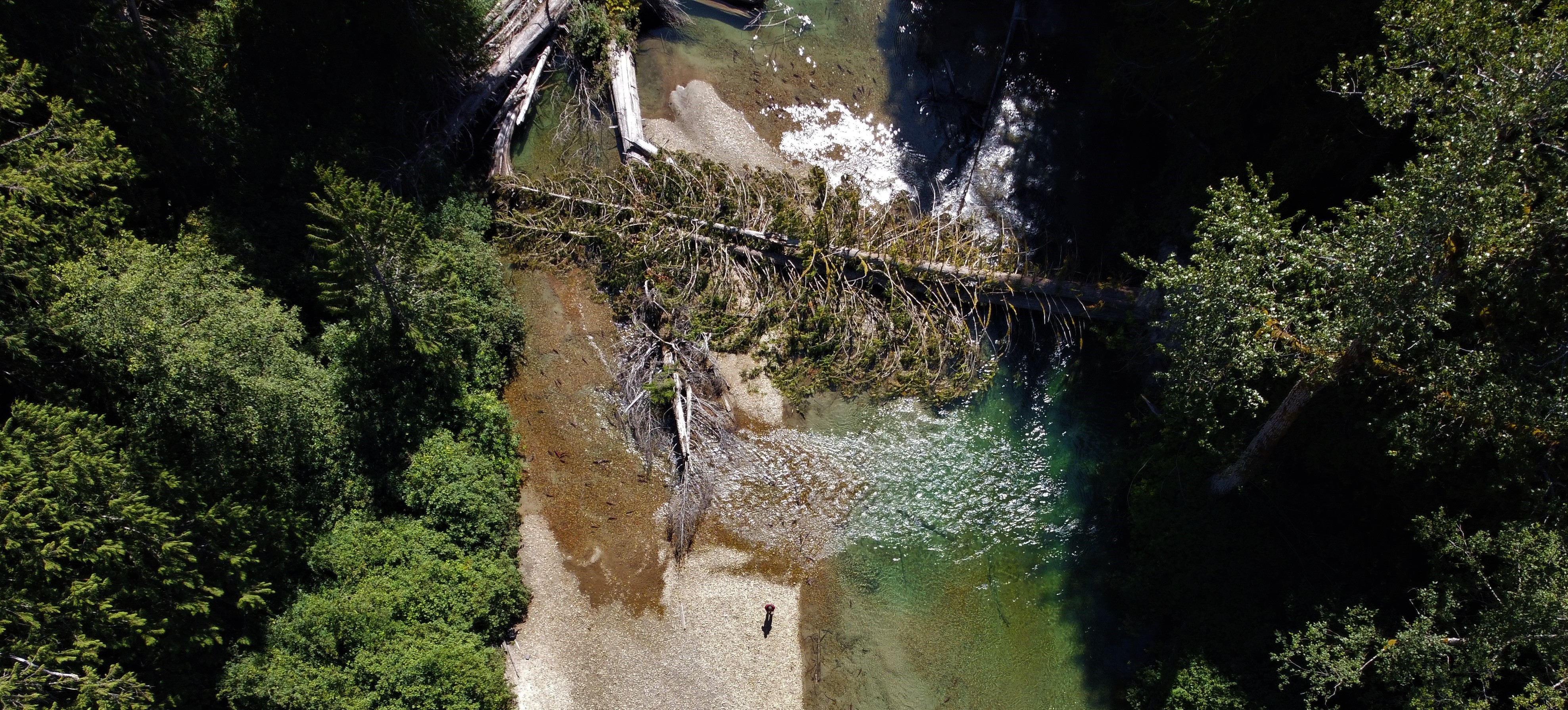 Log jam on the Chilliwack River. Wilderness Committee file photo.