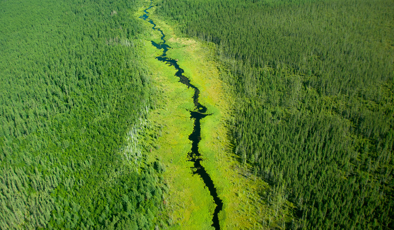 Caterpillar creek from the air.