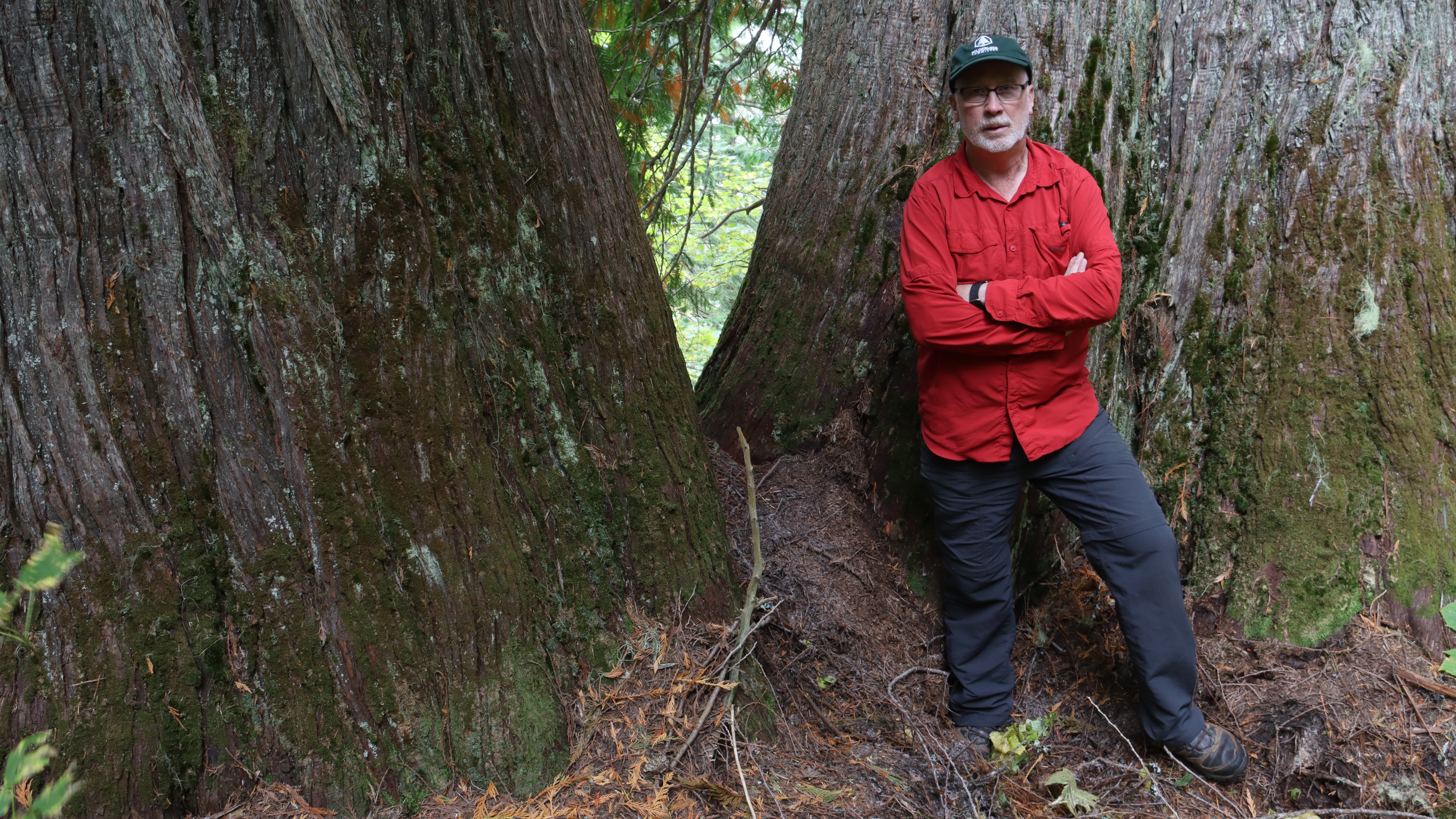 Protected Areas Campaigner Joe Foy standing by old-growth red cedar trees in spotted owl habitat in the Spuzzum Valley