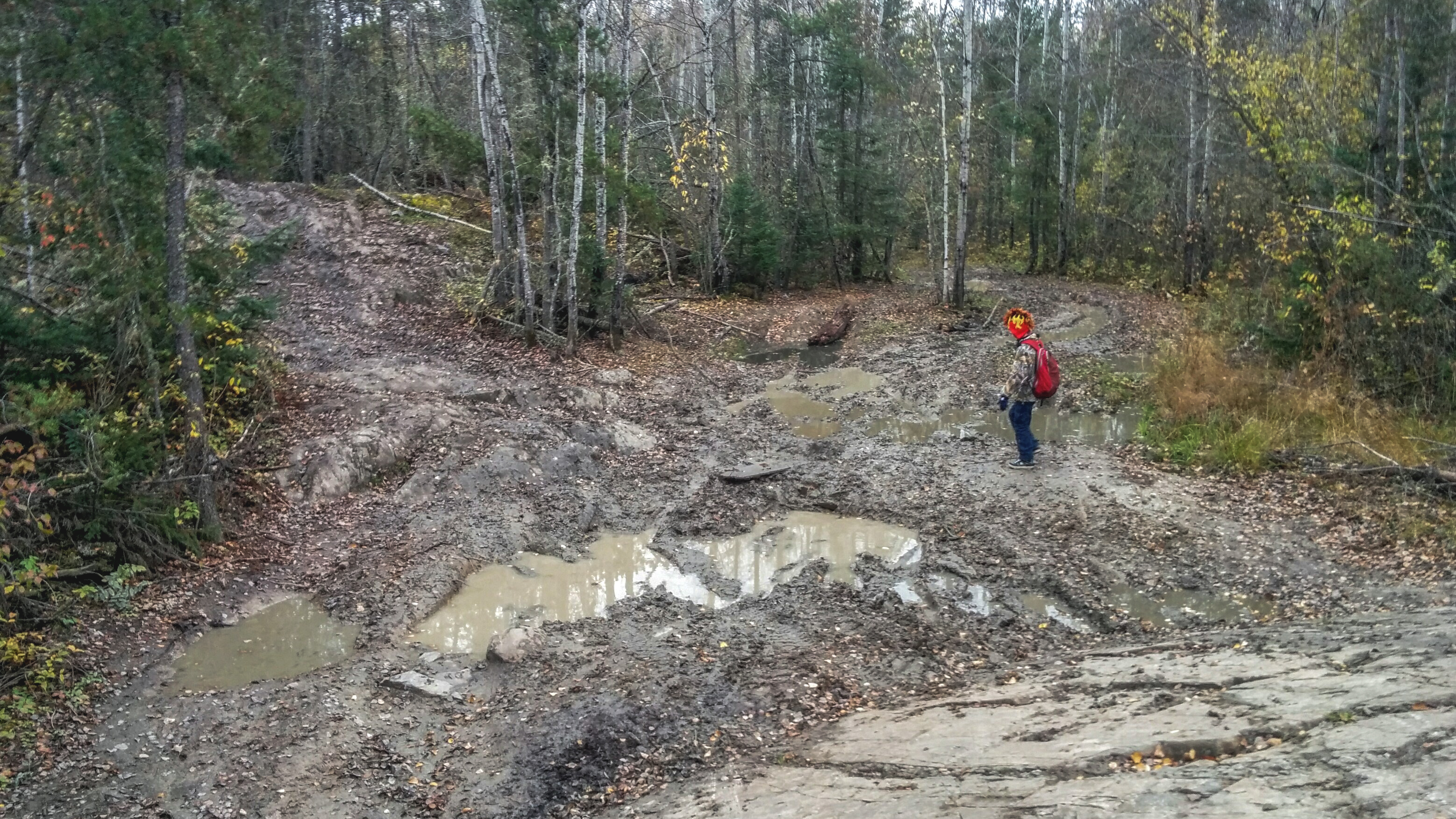 Wrecked trails from all-terrain vehicles in Nopiming Provincial Park