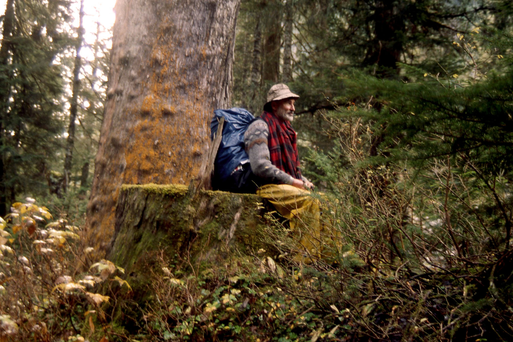 Don sitting on a mossy stump in a forest