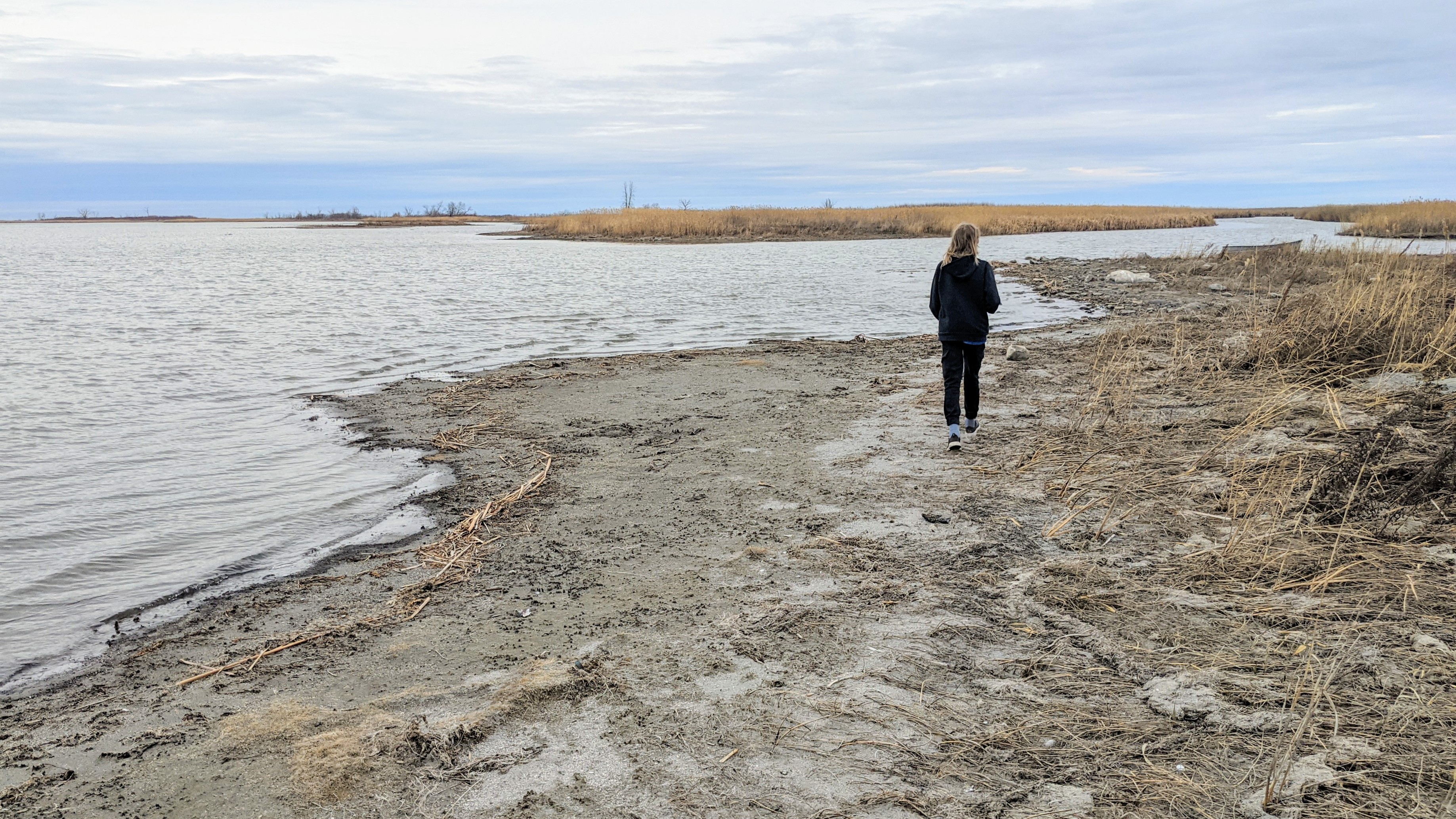 A person walks along a lakeshore on a cloudy day.