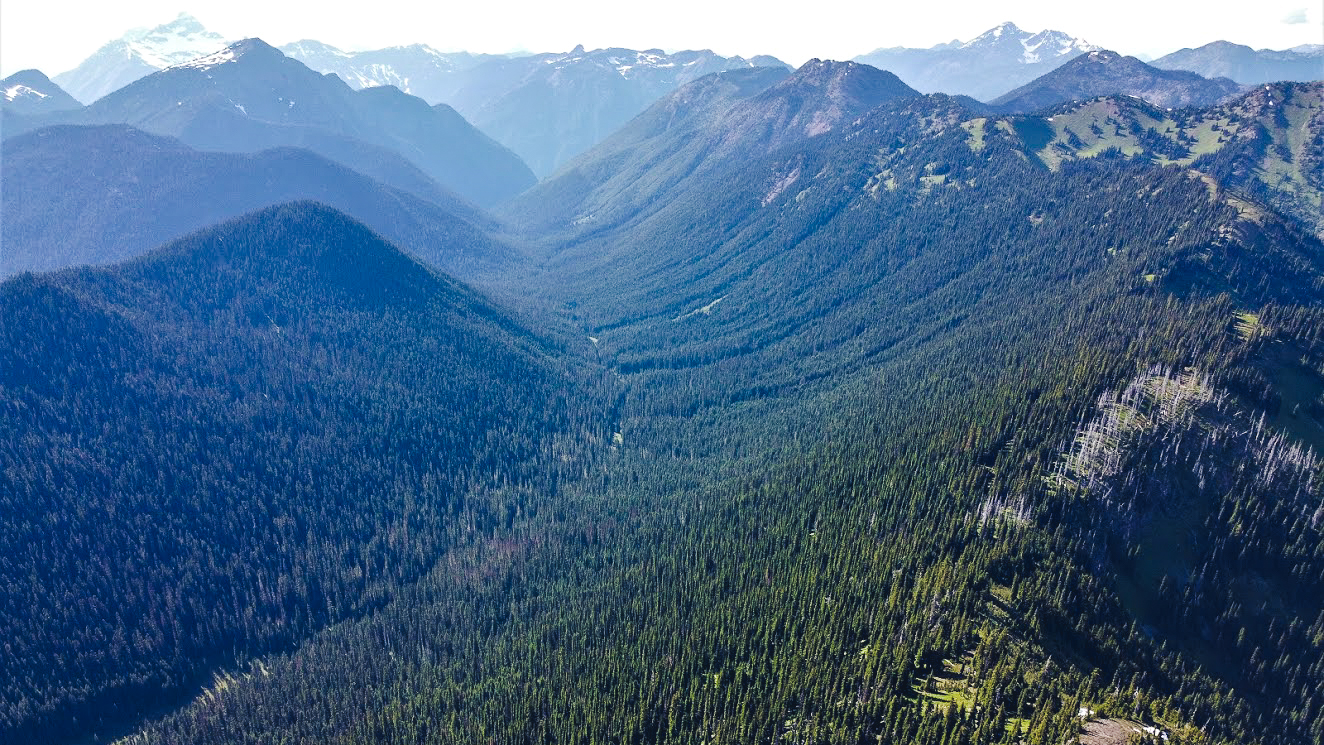 The coast mountains where the Skagit river begins