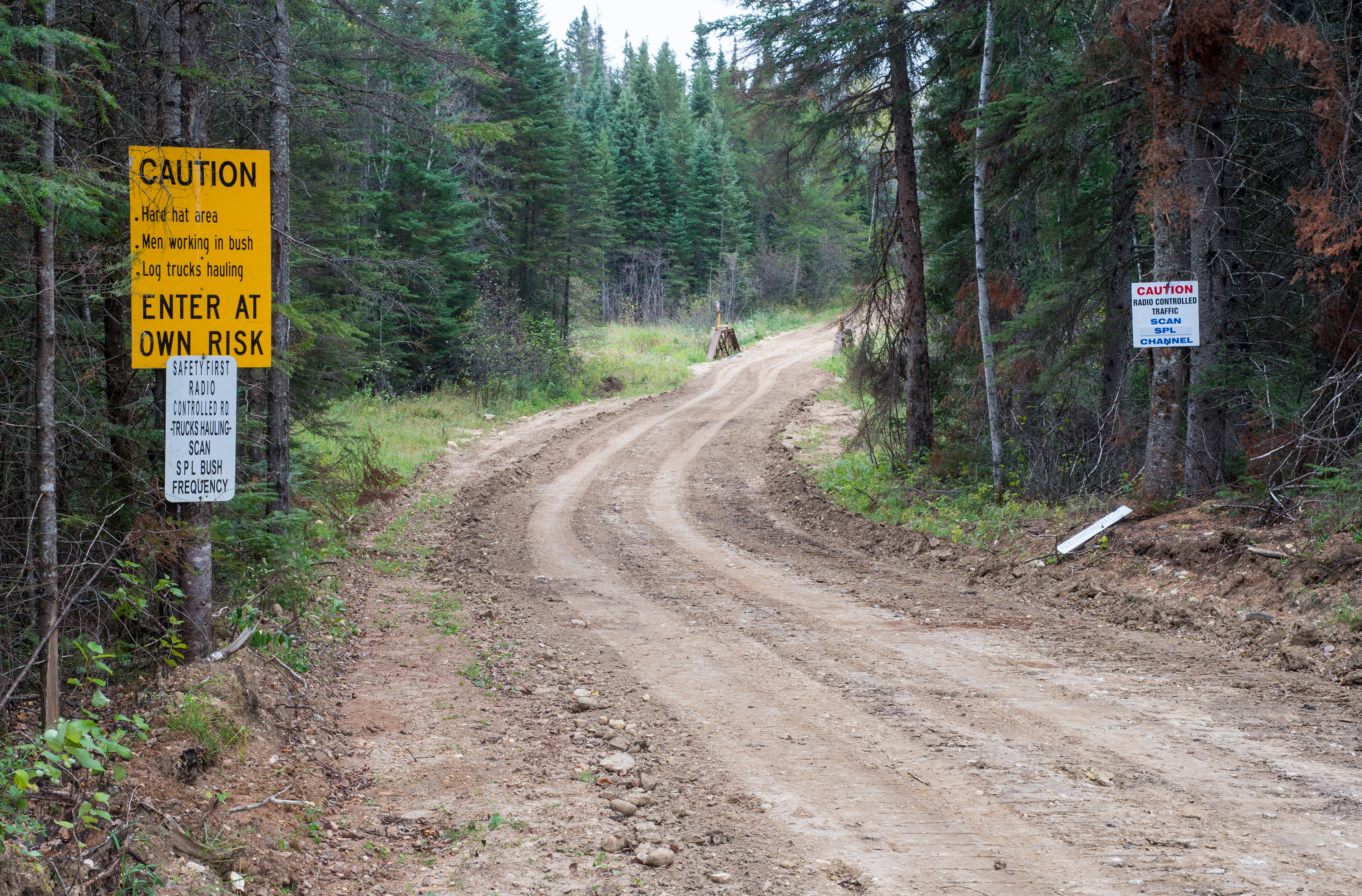Logging road gate constantly left open in Duck Mountain Park