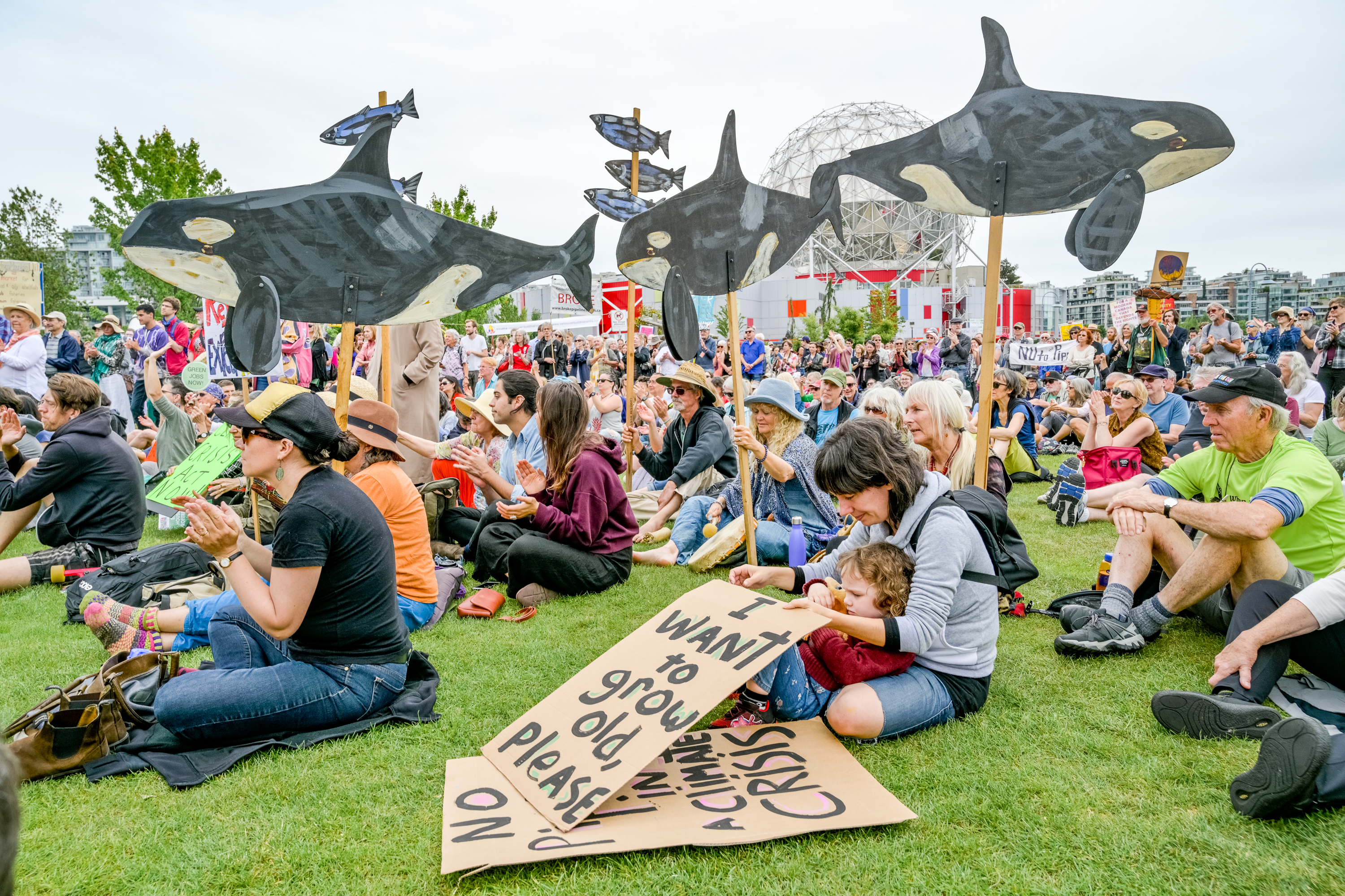 People sit on a grassy area with art and signs during a climate justice rally.