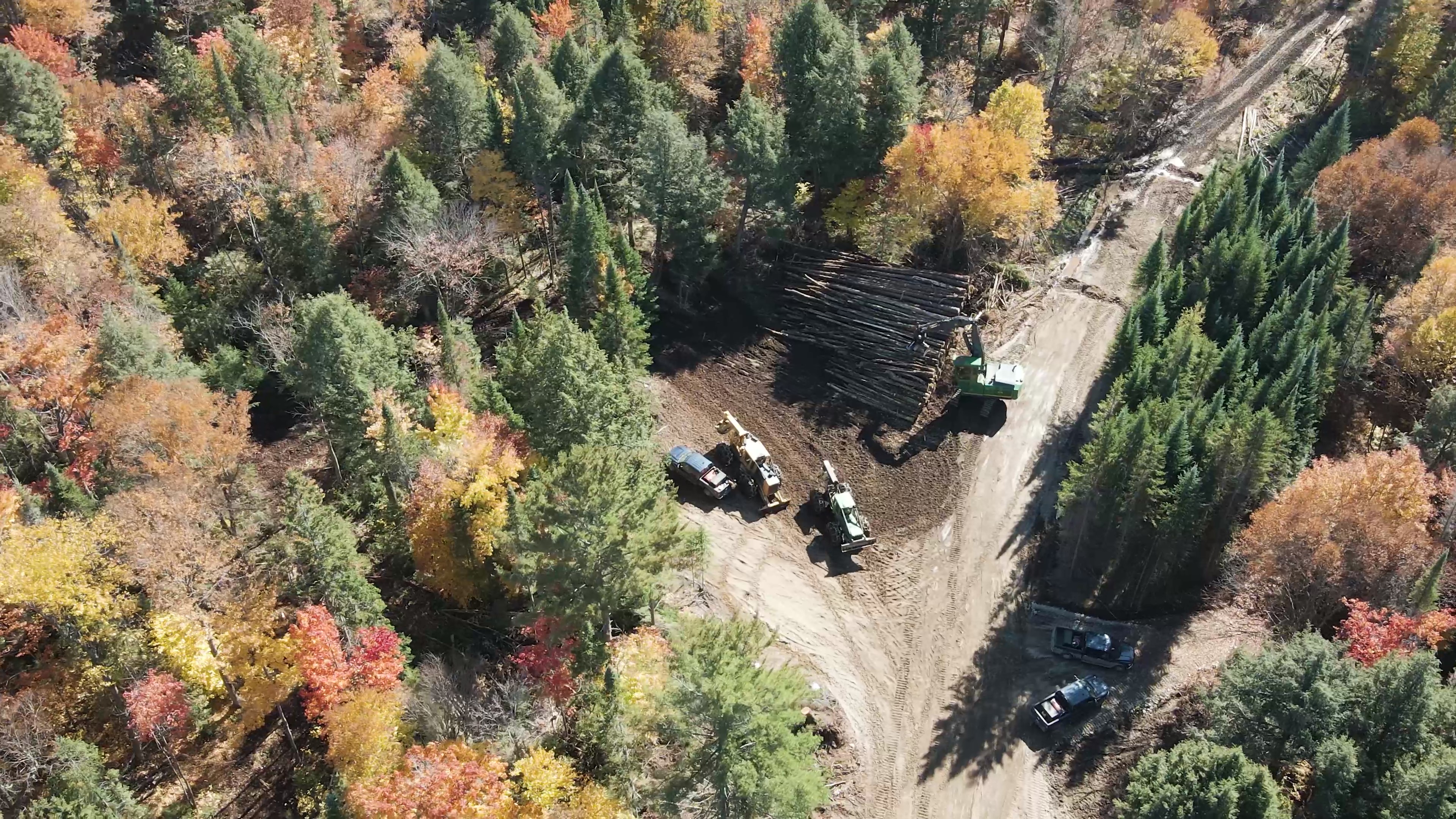 Aerial view of a logging road and a pile of logs with heavy machinery in otherwise intact forest in Algonquin Park.