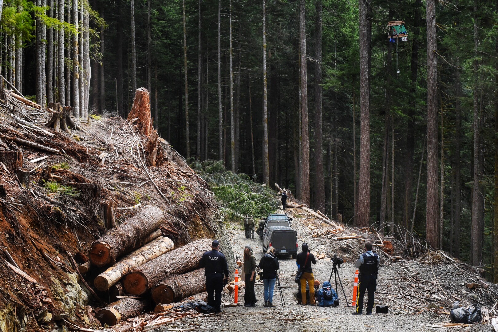 Photo: tree-sit in the Caycuse, Vancouver Island (Mike Graeme).