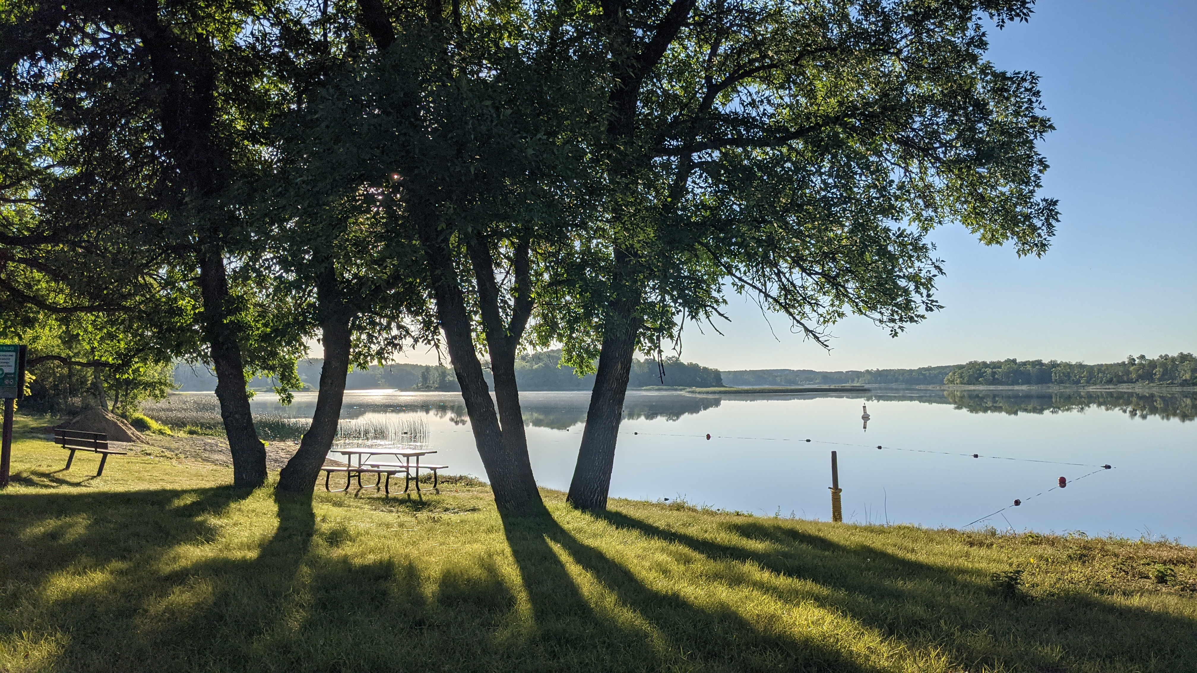 The sunlight filters through two trees with green leaves over a small section of a large lake in Turtle Mountain Provincial Park.