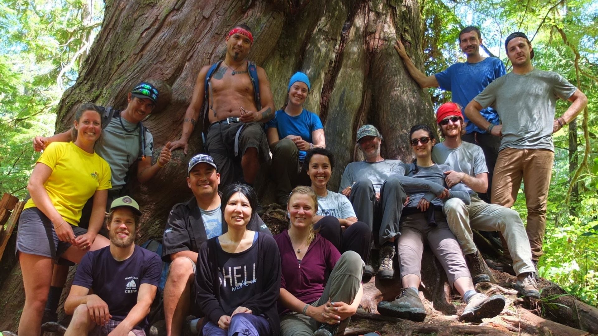 A group of people sitting in front of a large tree. End of image description. 