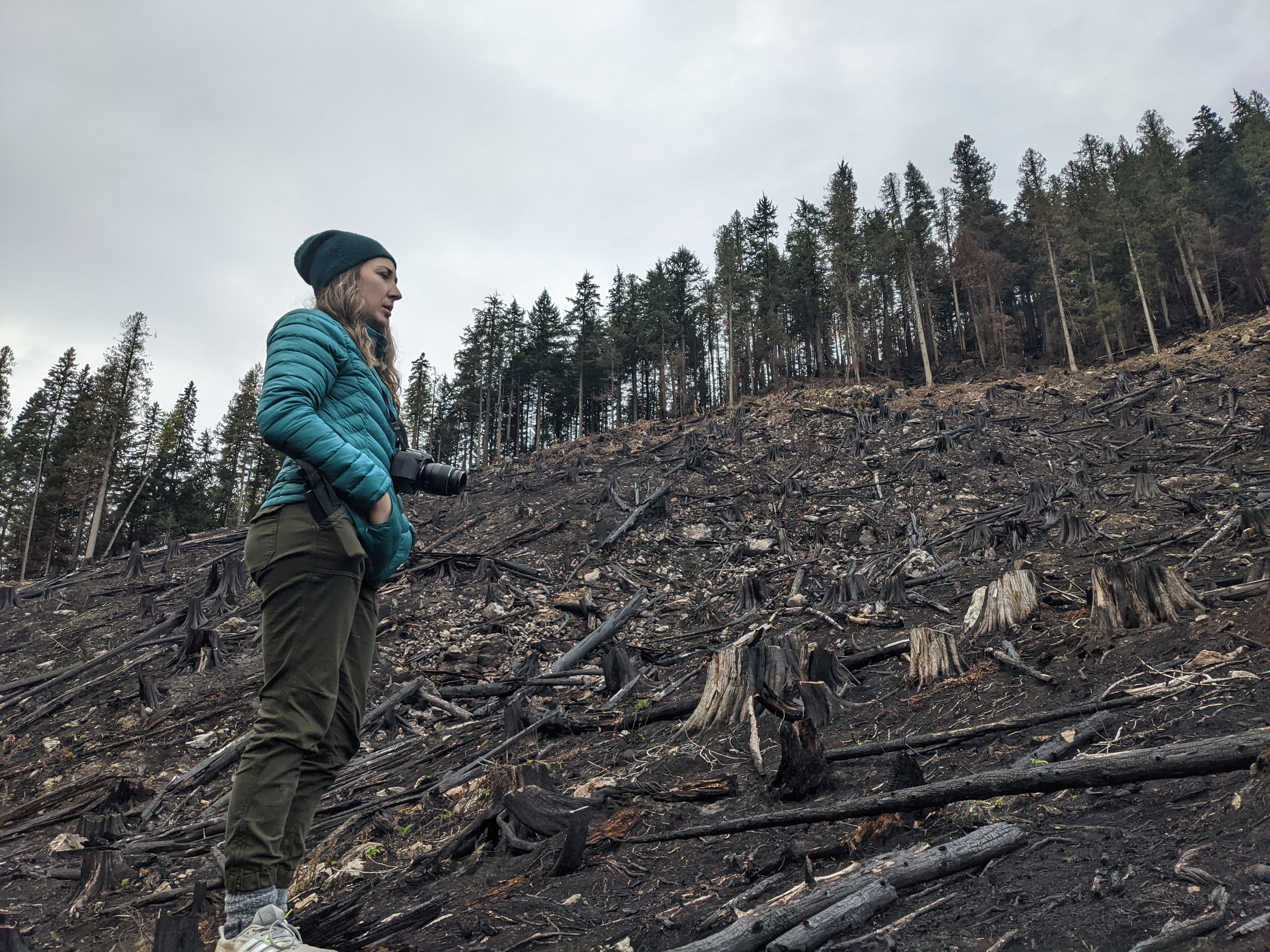 Charlotte Dawe visits a slash and burn old-growth logging site next to core caribou habitat in the Bigmouth Valley, North of Revelstoke, B.C. Photo credit: Alex Tsui, Wilderness Committee
