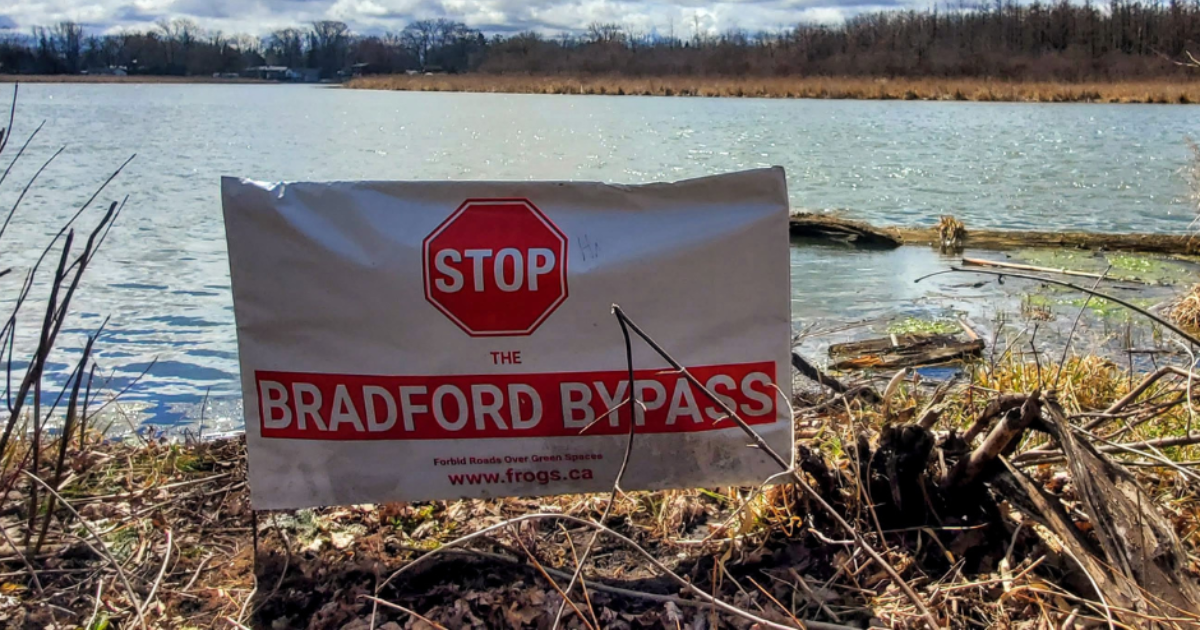 A sign along a riverbed that says "stop the Bradford Bypass". End of image description.