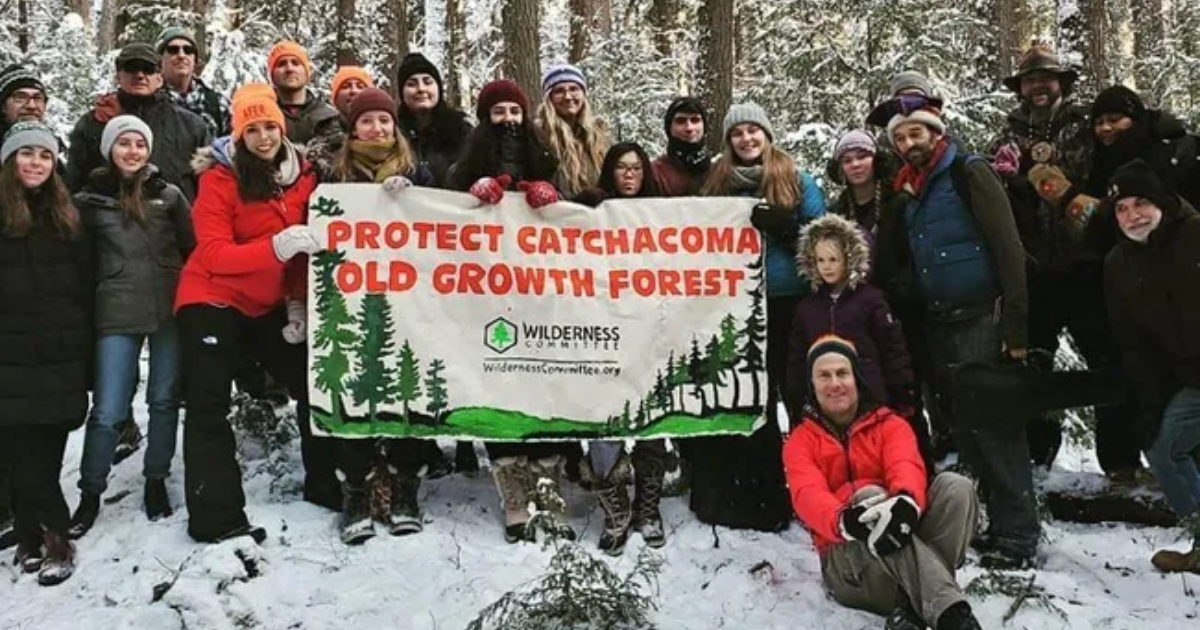 A group of people holding up a banner that says "Protect Catchacoma Old Growth Forest." End of image description.
