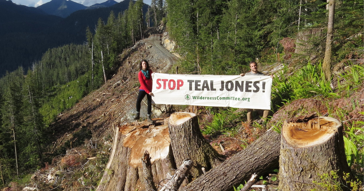 Two people standing in a recently logged forest, holding a banner that says "Stop Teal Jones." End of image description. 