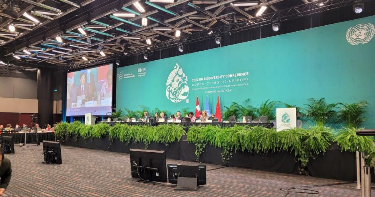 A group of people sitting at a panel in front of a large COP15 sign. There are several TV screens and lighting around them. End of image description.