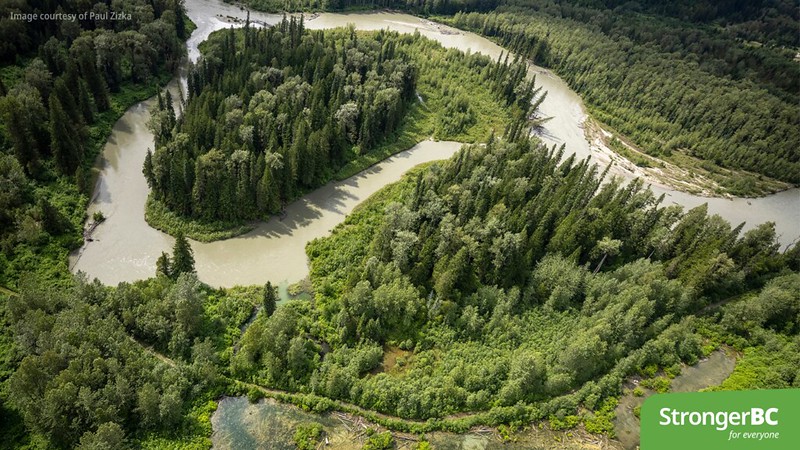 Aerial shot of waterways and forests in the Incomappleux Conservancy