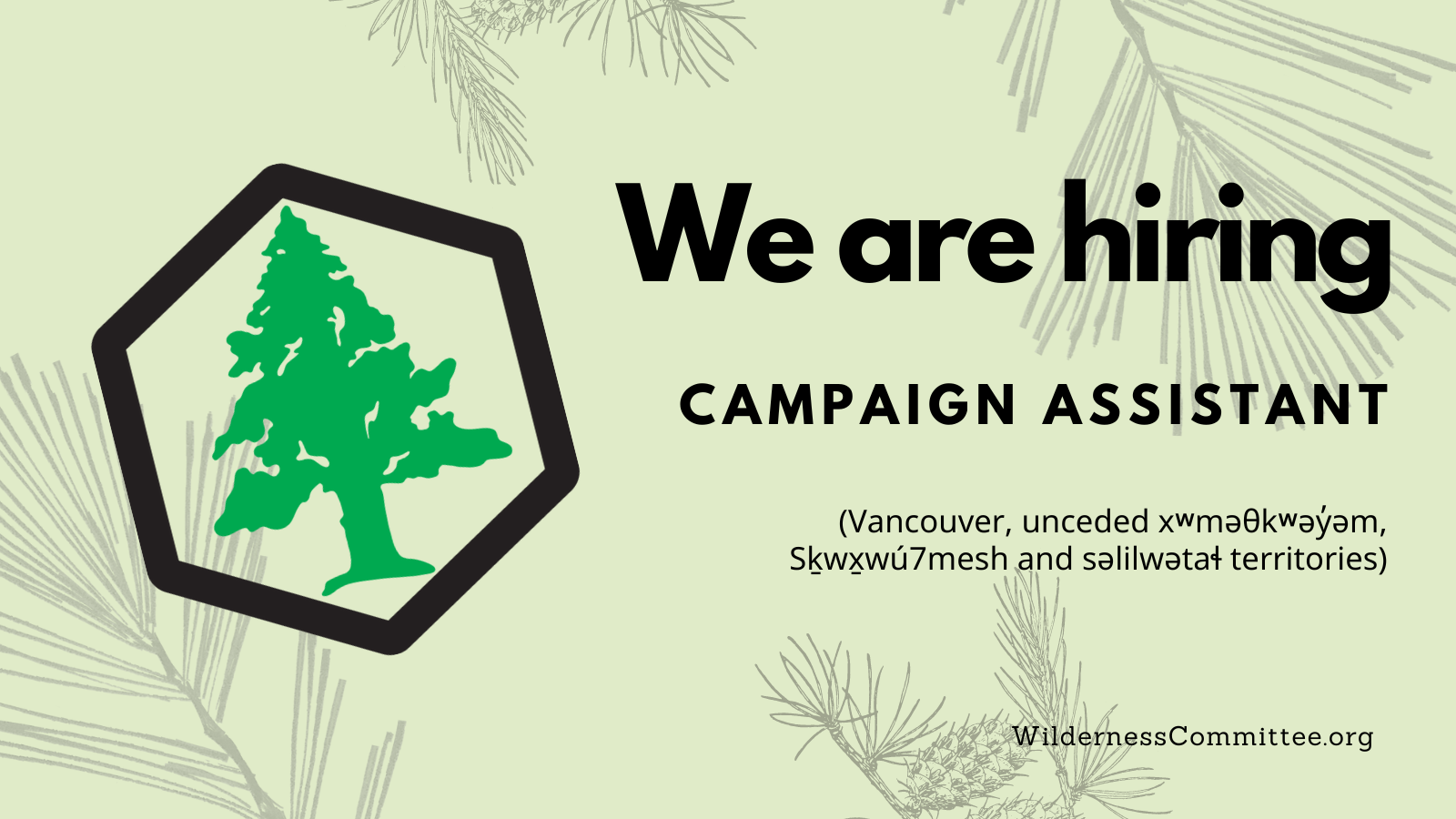 The logo of the Wilderness Committee. Text on the image says "we are hiring. campaign assistant." End of image description. 