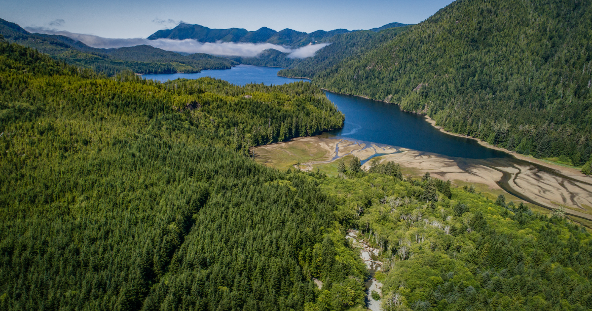 An aerial shot of Nootka Island on Nuchatlaht territory. End of image description. 