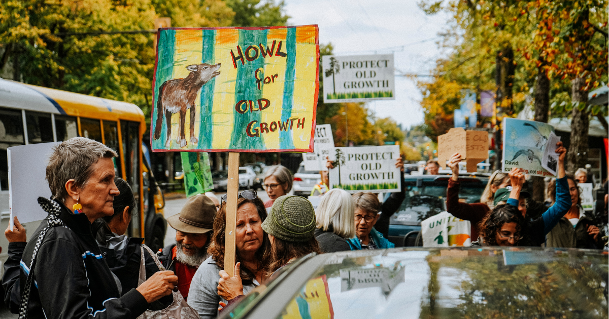 A group of people holding up various signs in support of old-growth. End of image description.