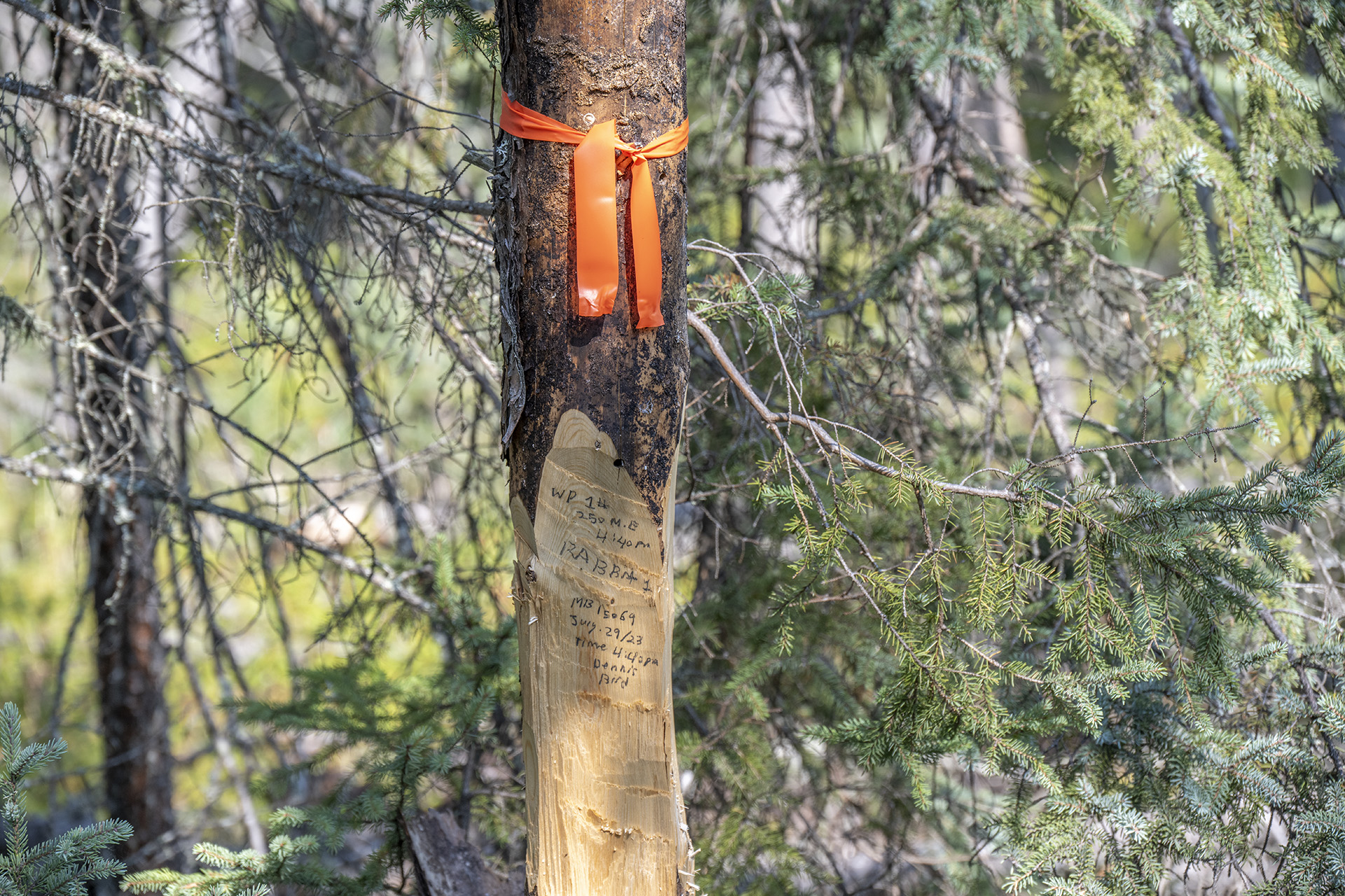 A mining claim post in Nopiming Provincial Park