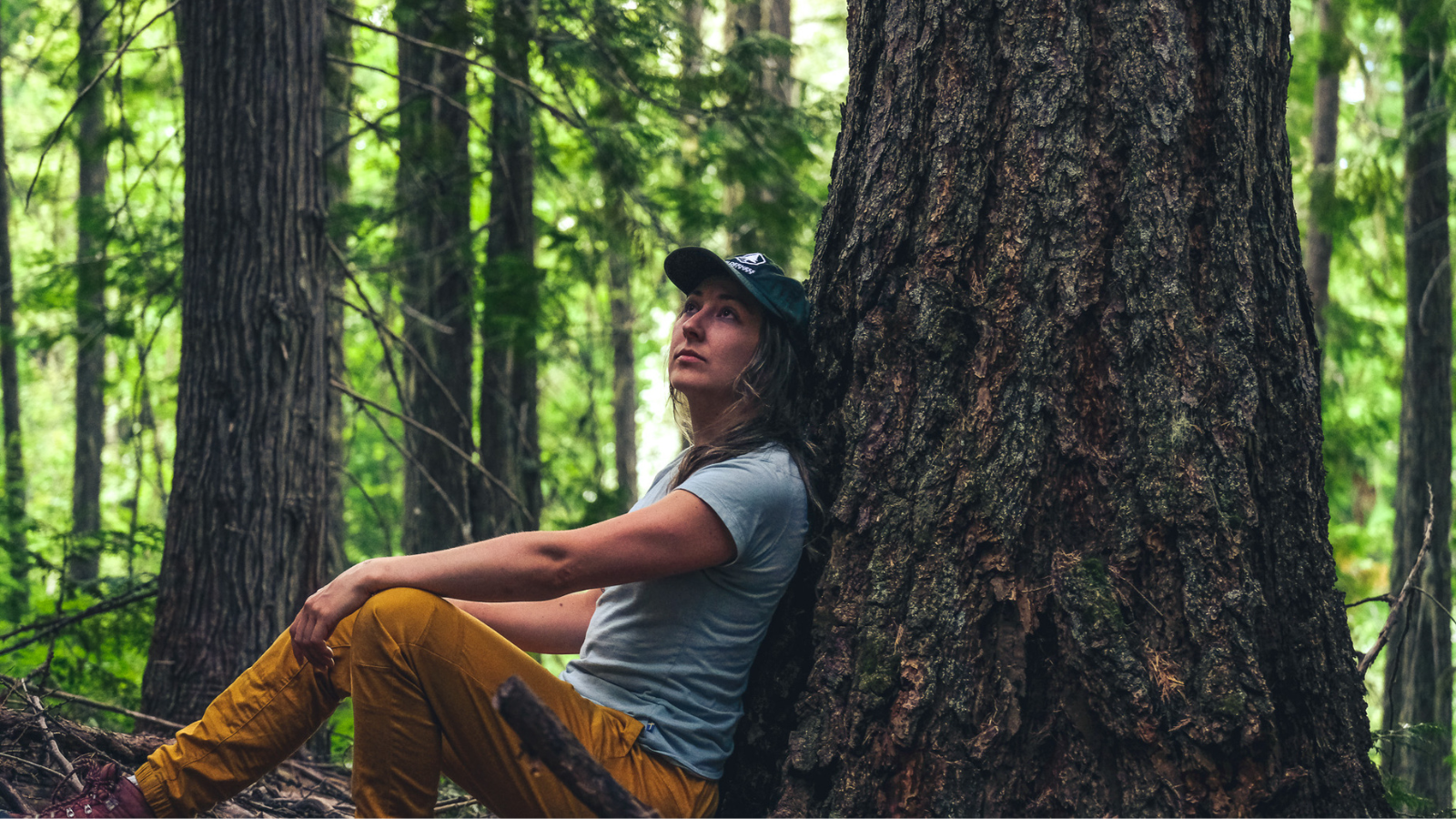 Conservation and Policy Campaigner Charlotte Dawe sitting underneath an old-growth tree