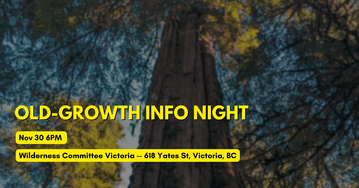 An old growth forest. Text on the image gives more information about the event. End of image description.