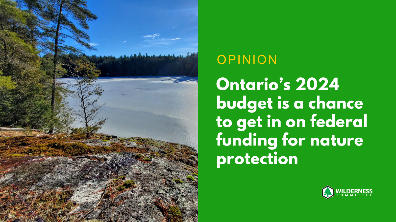 Trees near a body of water. Text over the image says "OPINION: Ontario’s 2024 budget is a chance to get in on federal funding for nature protection." End of image description.