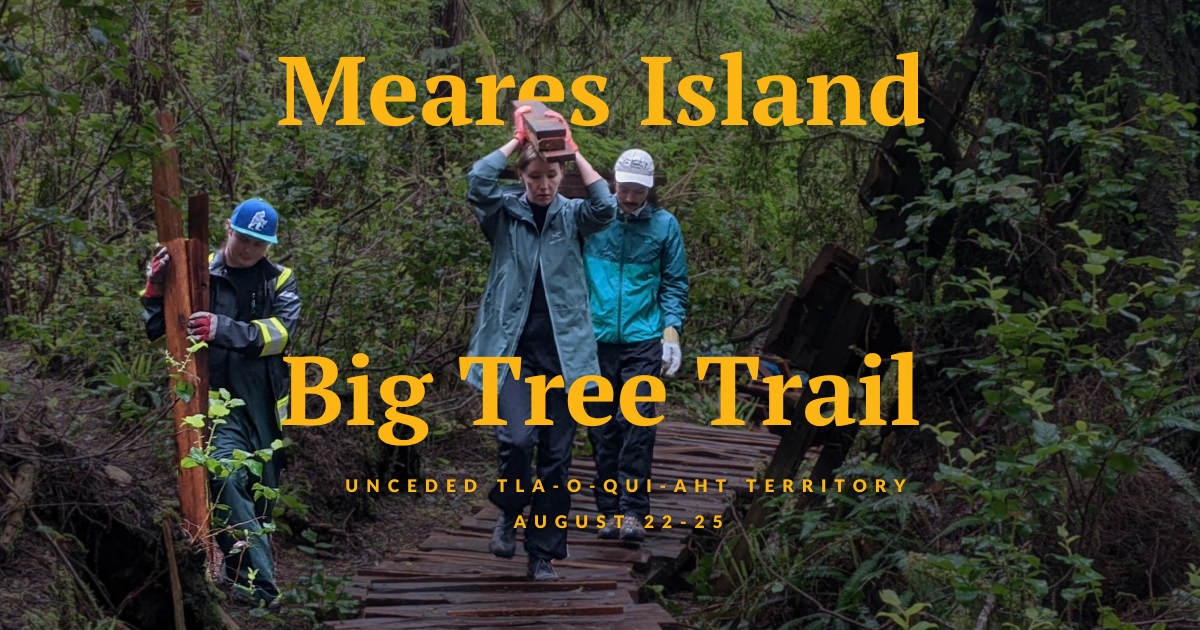 A person carrying wooden board through an old-growth forest while another person follows her. Text on the image reads "Meares Island. Big Tree Trail. Tla-o-qui-aht territory. August 22-25."