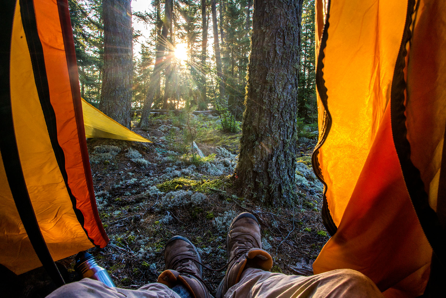 Two boots being laced up through the door of a tent with an old forest and a sunrise outside.